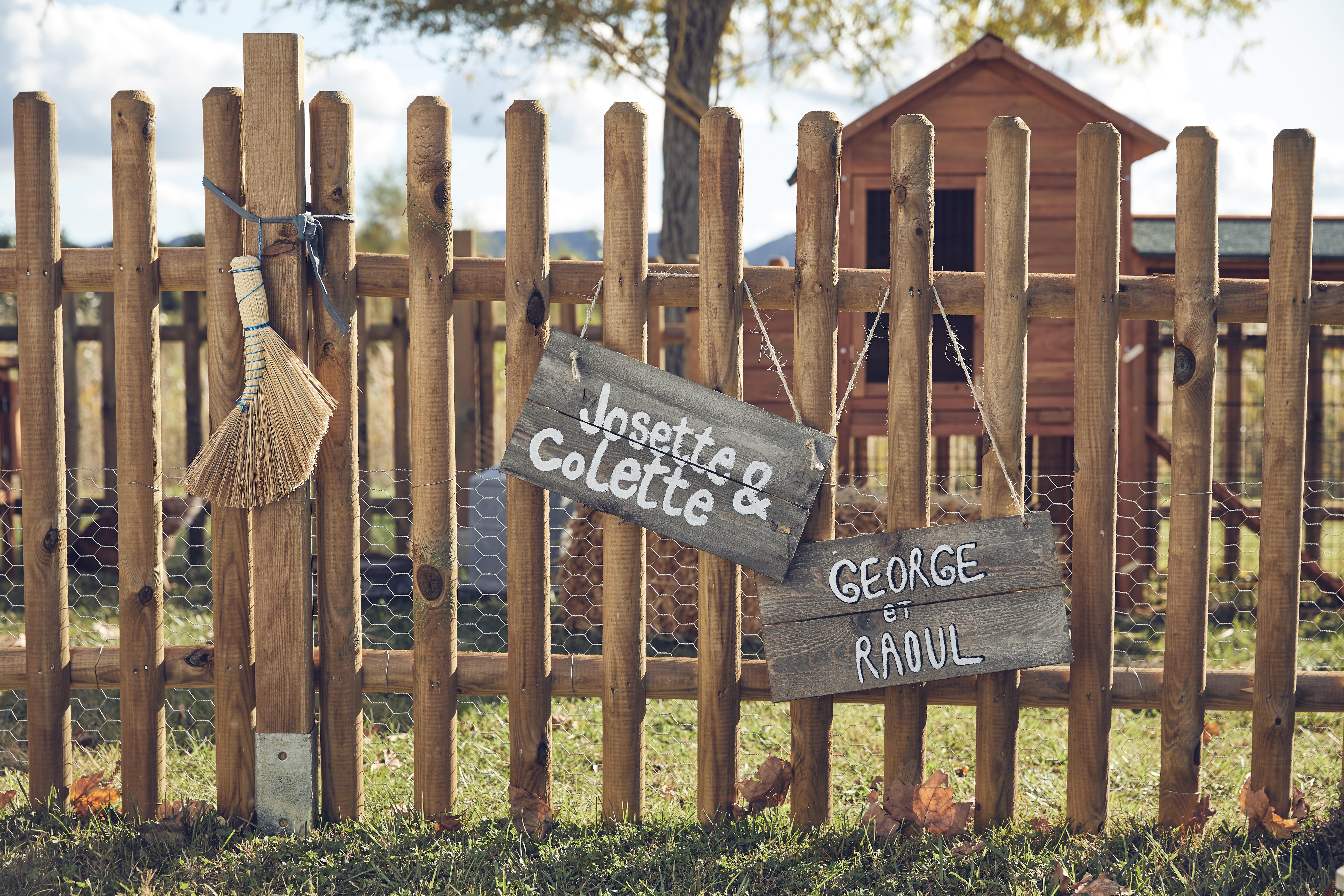 Portillon battant Buffalo, CERLAND, l.100 x H.100 cm, naturel - 7