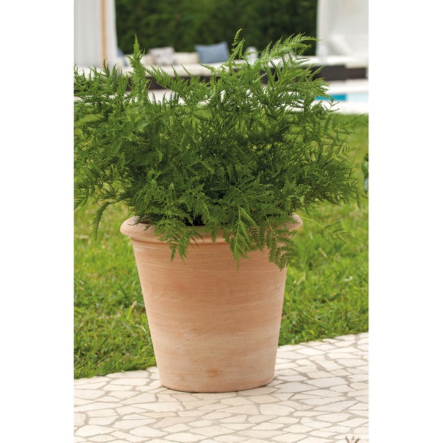 Pot terre cuite DEROMA Diam.38 H.37.5 cm terre rosée