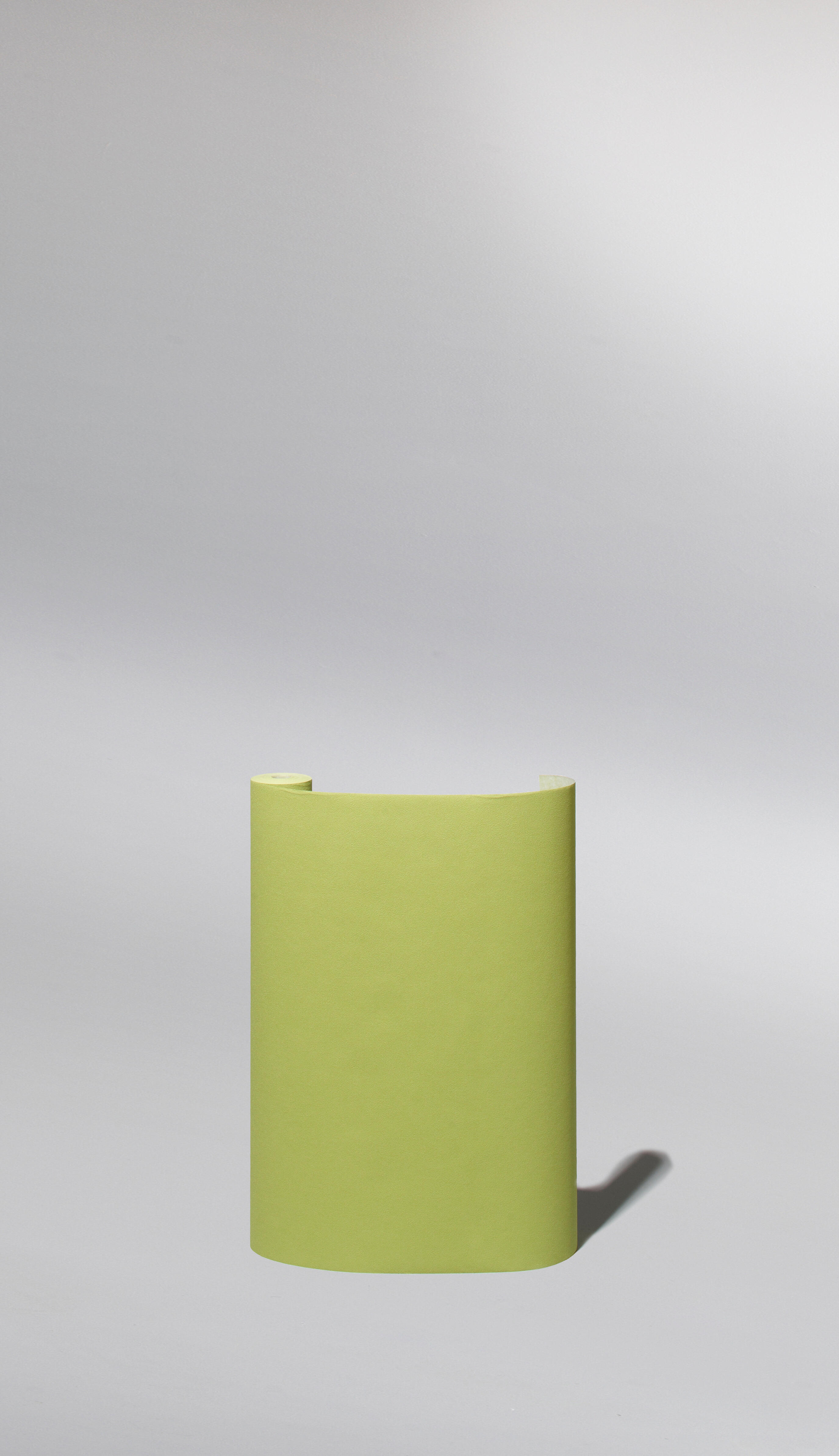 Papier peint intissé Lisse mat INSPIRE blanc - 8