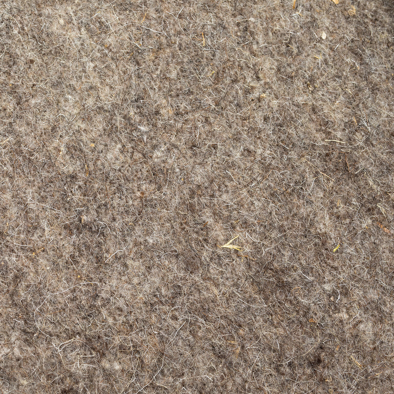 Feutre de paillage LA CORDELINE, 600 g/m², L2 x l.0.4 m - 4