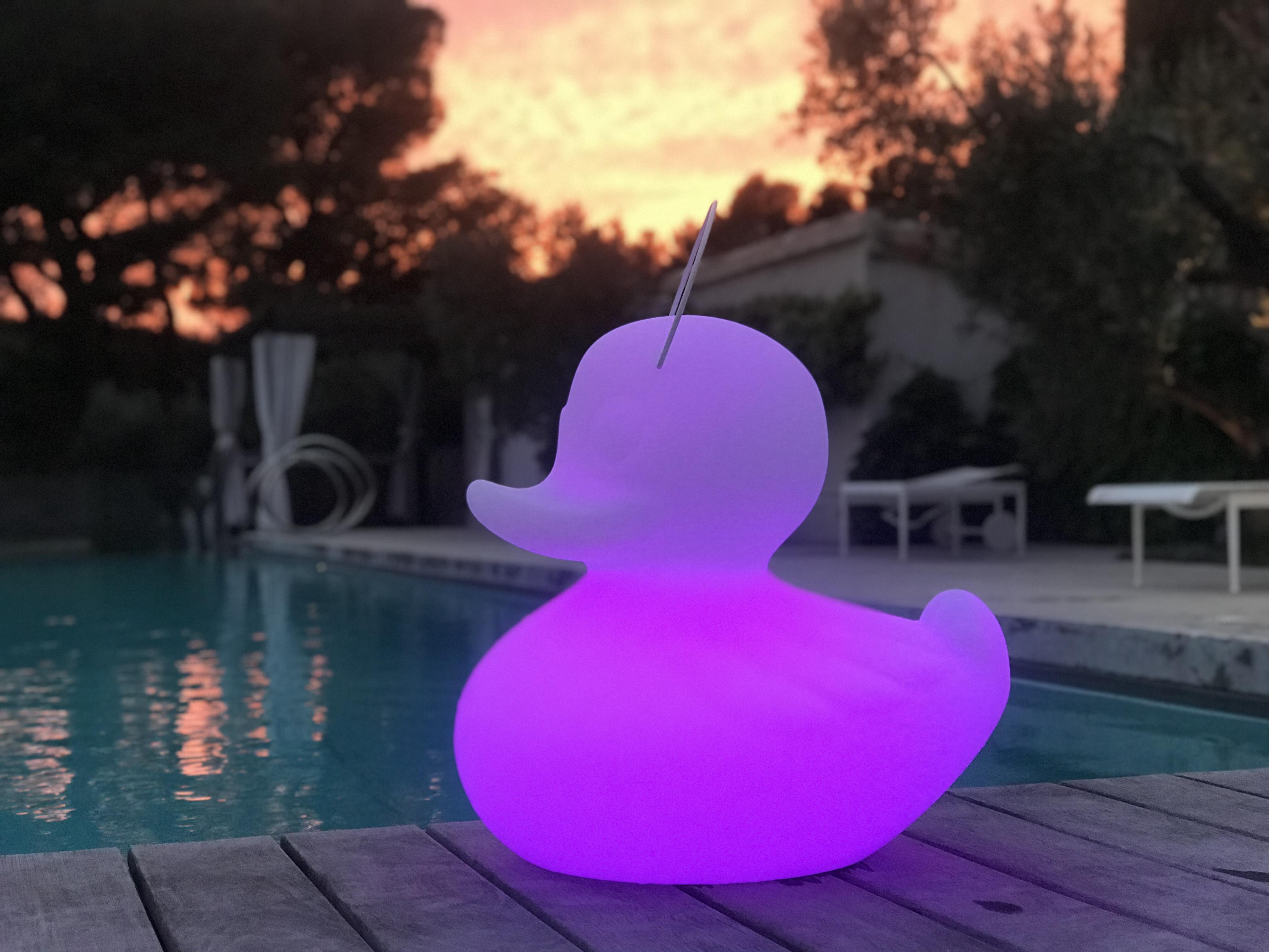 Lampe extérieure LED Duck h.30 cm 290 Lumen blanc GOOD NIGHT LIGHT - 2