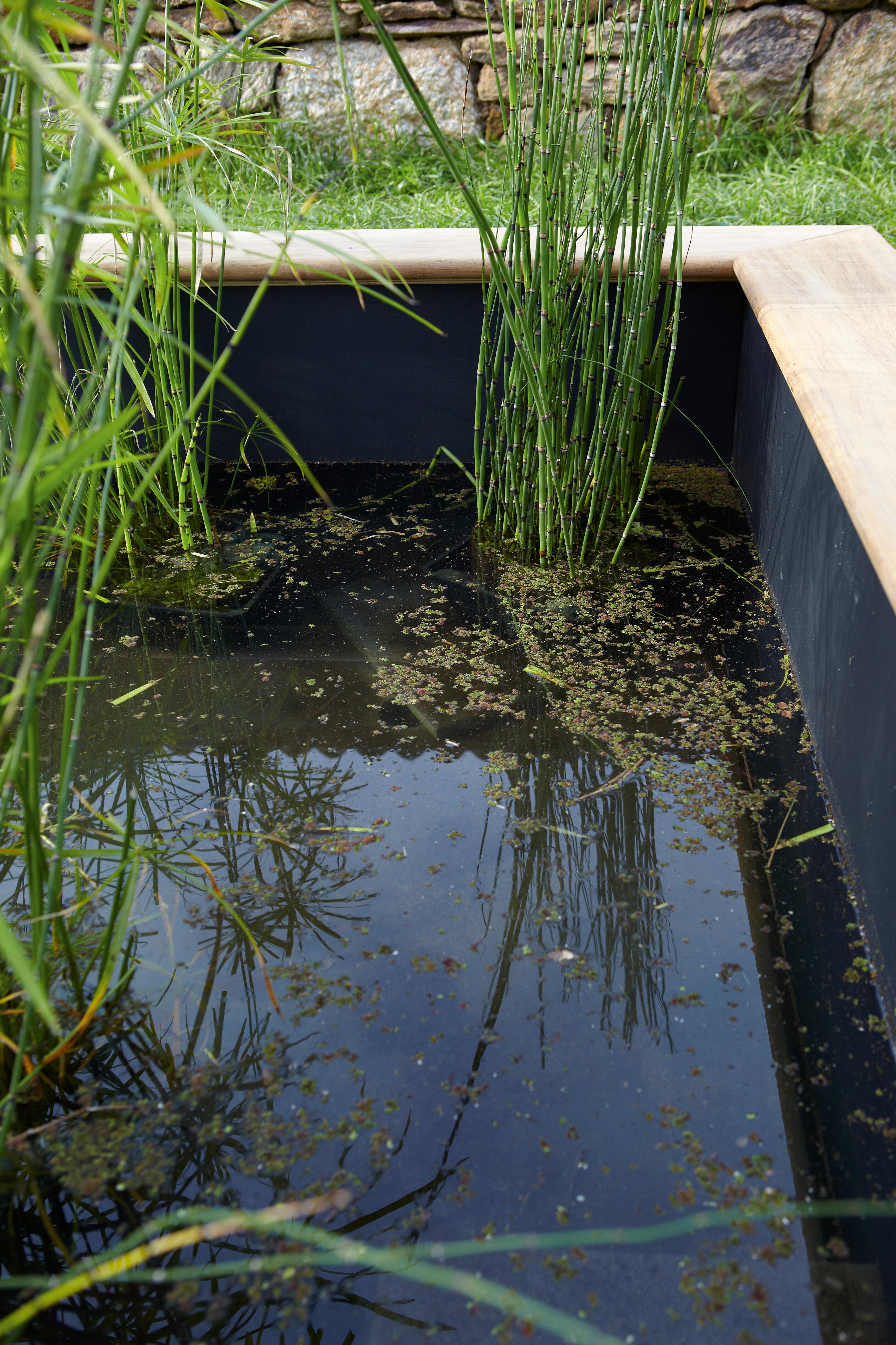 Liner pour bassin UBBINK Aqualiner, L.5 x l.4 m - 3