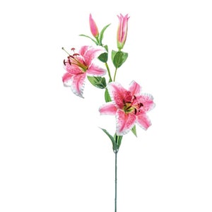 Set 4 Damigiane In Vetro Da 5 Litri Con Fondo Plastica - Perfette Per Vino, Acqua E Conservazione Liquidi - Foto 4