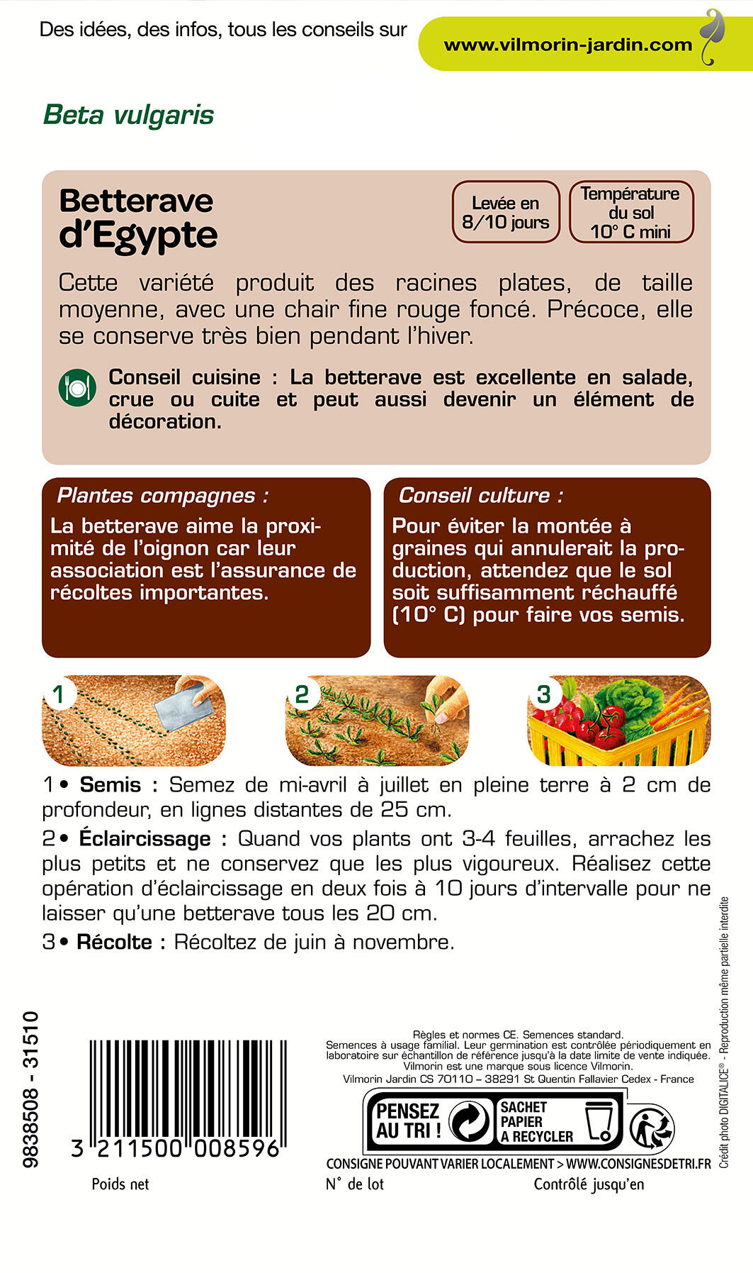 Graines de betterave VILMORIN 4 g - 2