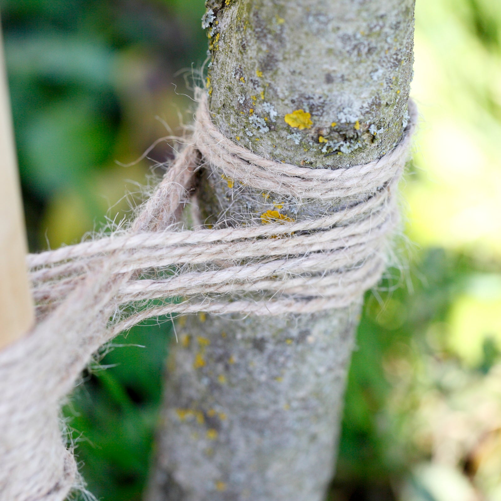 Ficelle jute beige, longueur 75 m LA CORDELINE - 2