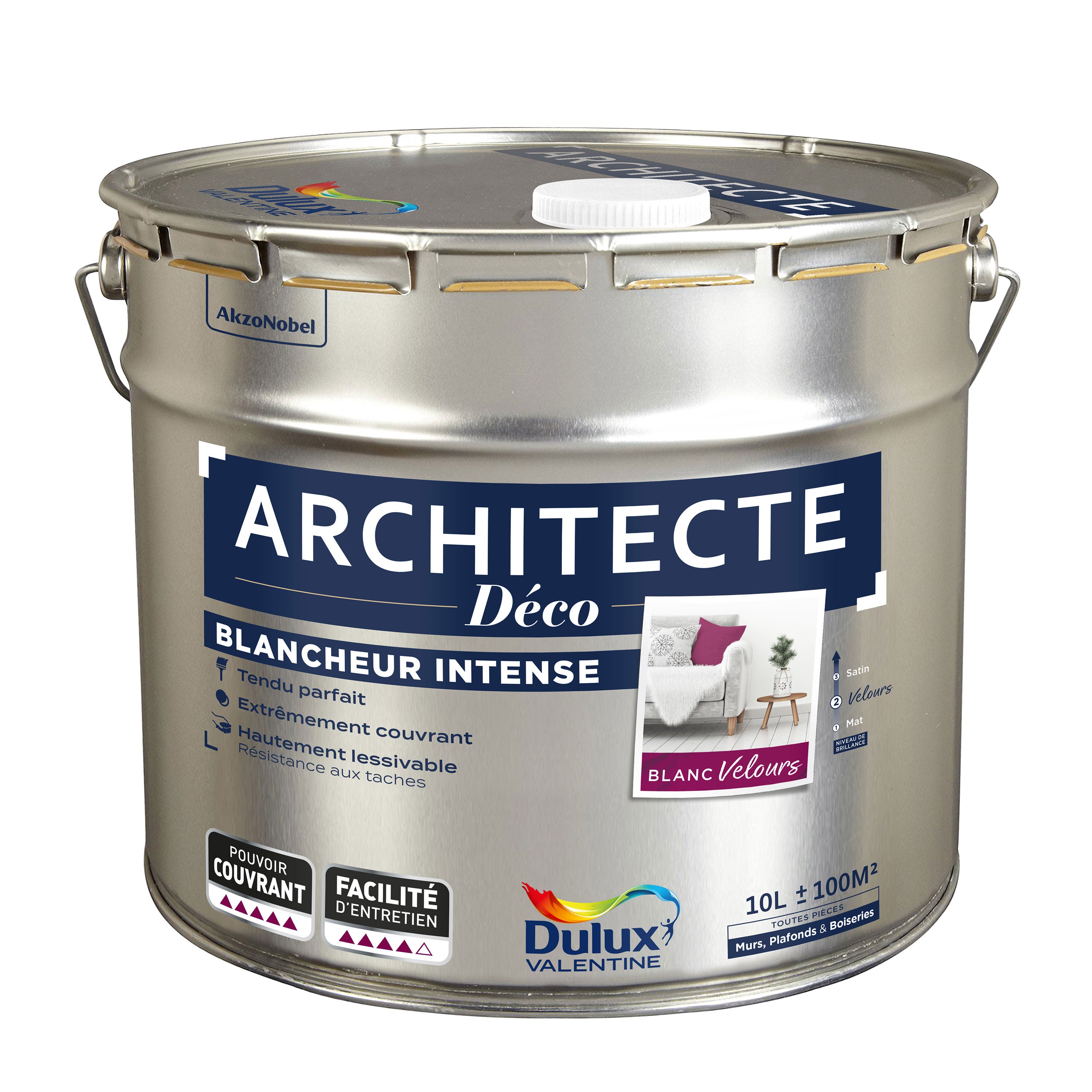 Peinture mur/plafond/boiserie DULUX VALENTINE Architecte déco blanc ...