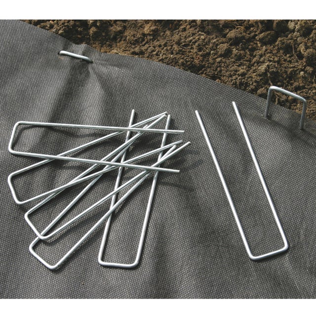 Lot de 10 agrafes acier 140503 25 mm
