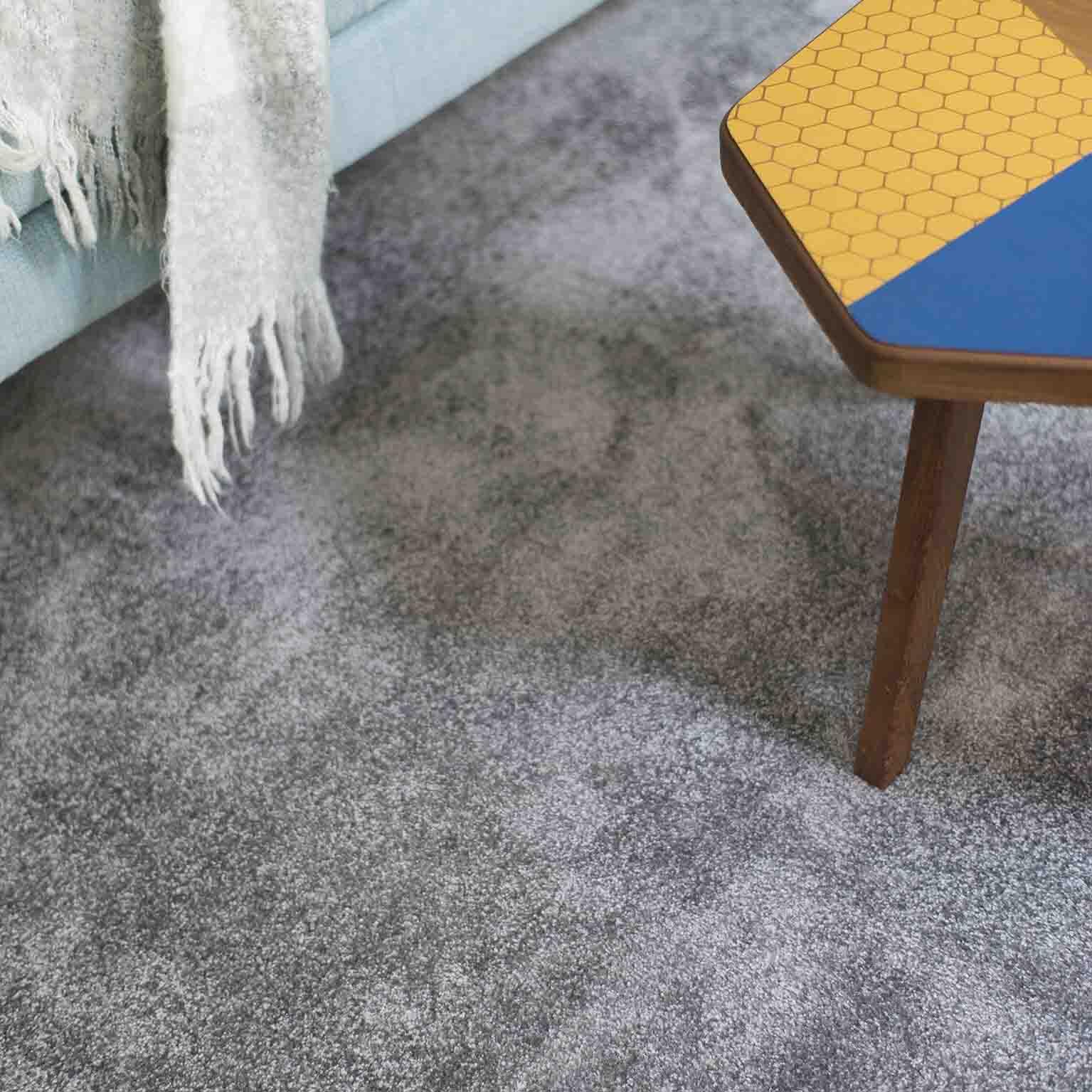 Dalle moquette velours ras BALSAN Ultrasoft gris foncé L.50 x l.50 cm - 2