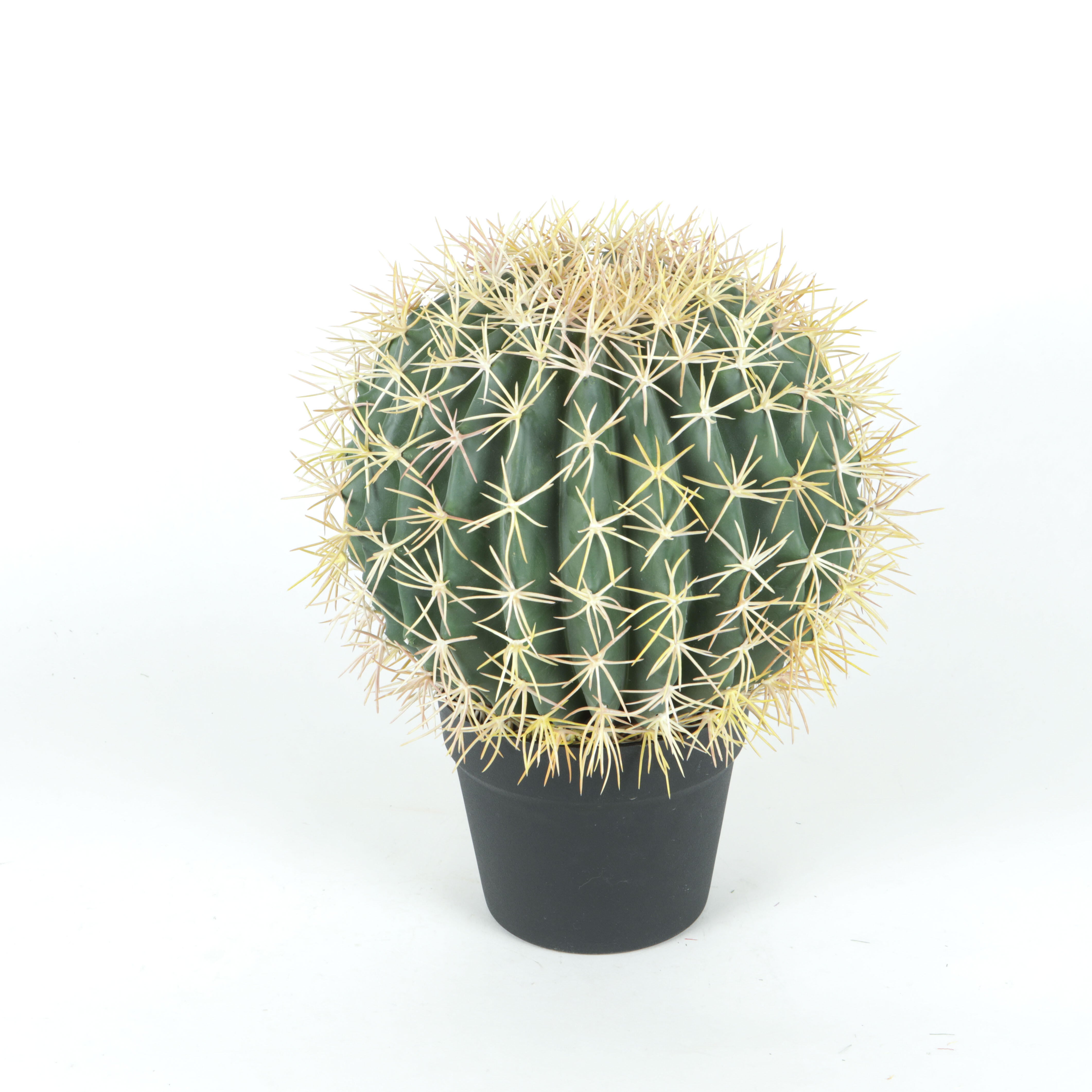 Plante artificielle cactus coussin de belle mère, H.34 cm Leroy Merlin — free download