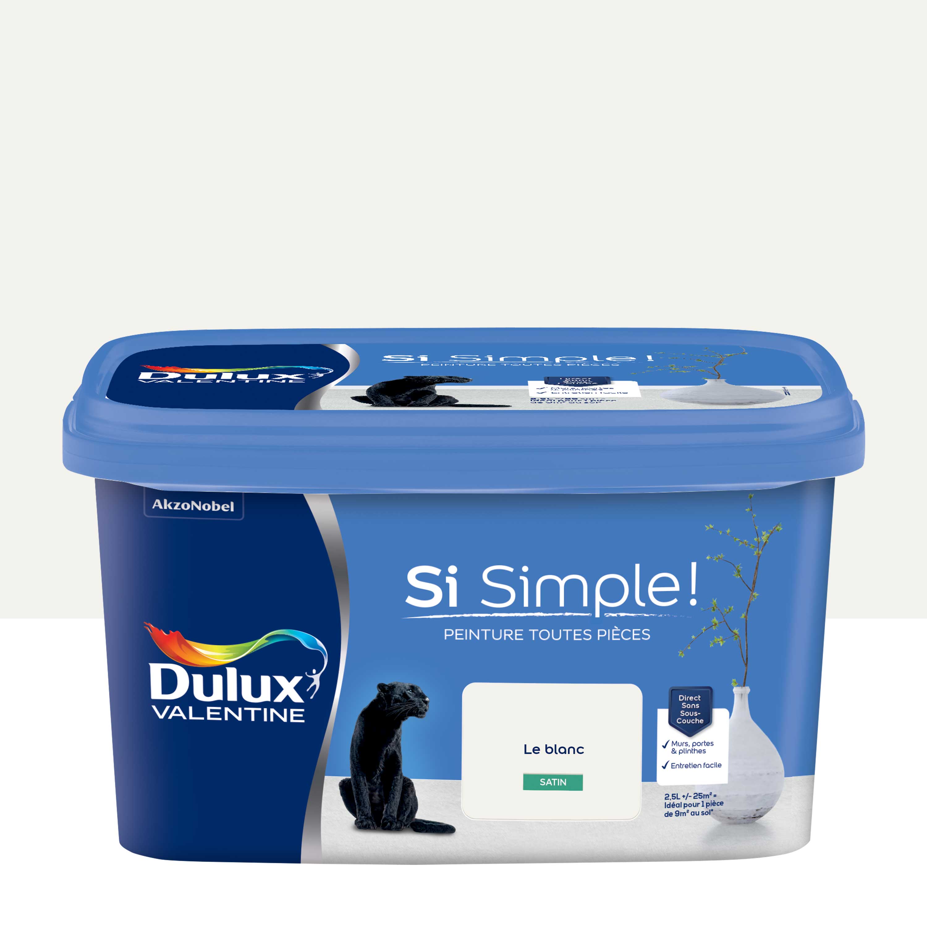 Peinture mur, boiserie blanc satin DULUX VALENTINE Si simple ! 2.5l ...