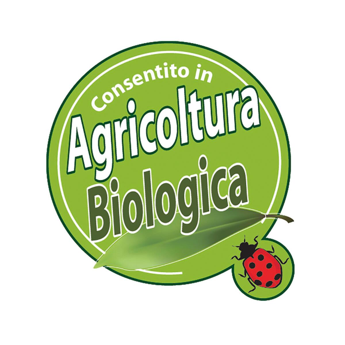 Concime liquido FLORTIS per pianta fiorita gerani e piante fiorite BIO 1 kg - 4