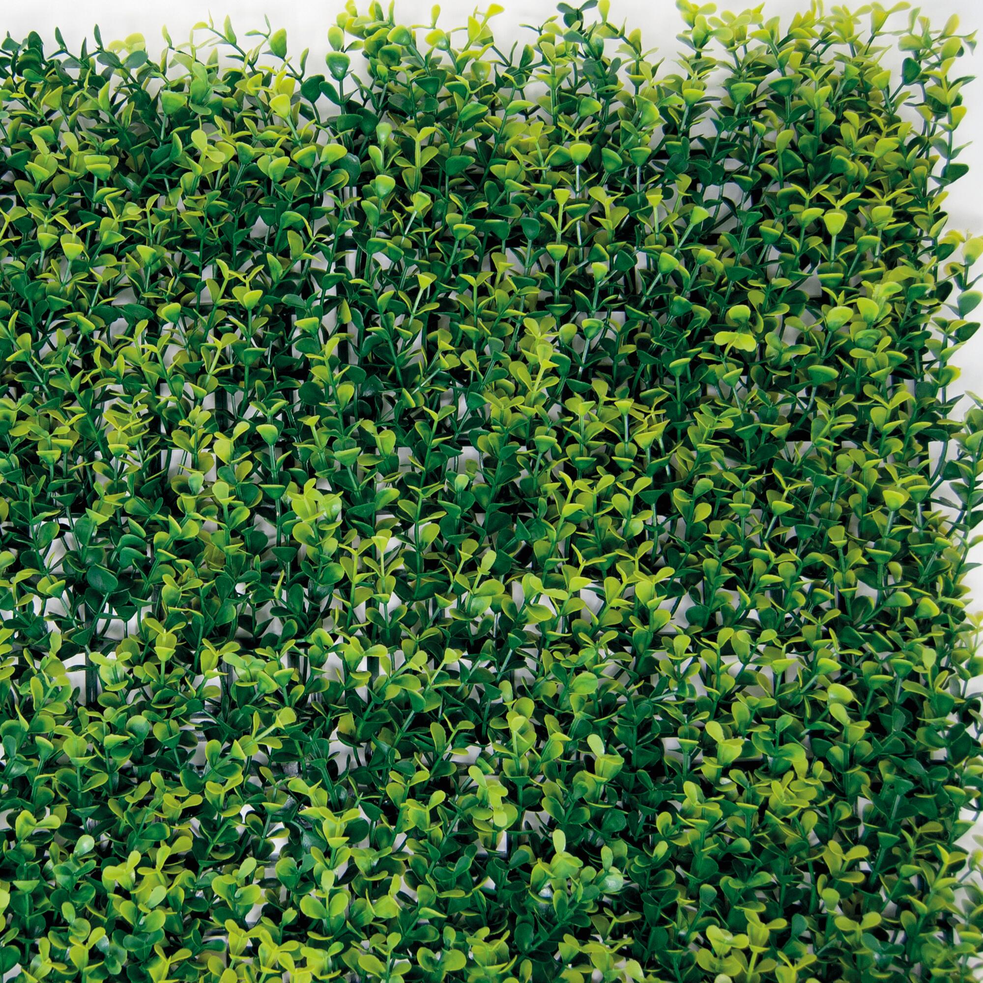 Siepe artificiale Bosso Divy 3D in polietilene - 6