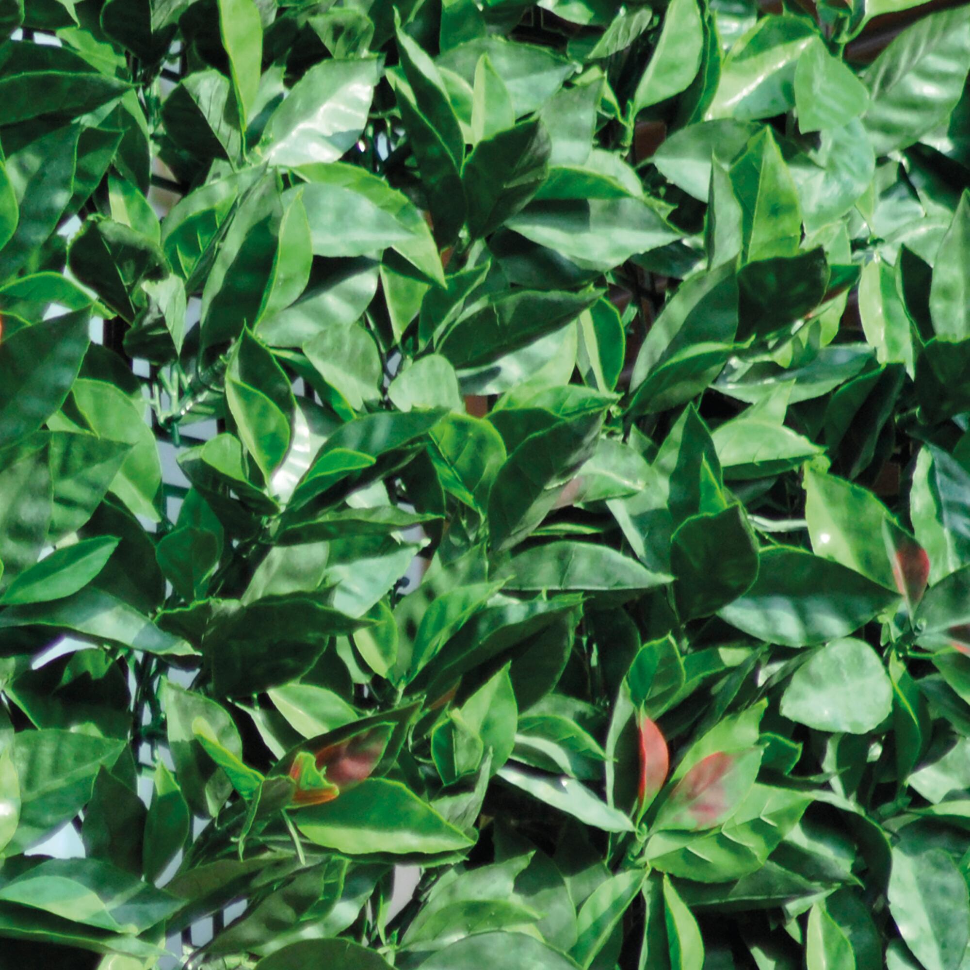 Siepe artificiale Photinia Divy 3D in polietilene, verde H 1 m x L 3 m - 4
