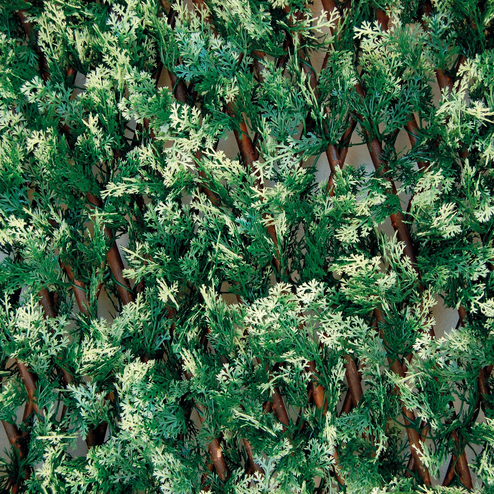 Traliccio estensibile NATERIAL 3D in polietilene verde L 200 x H 100 cm - 5