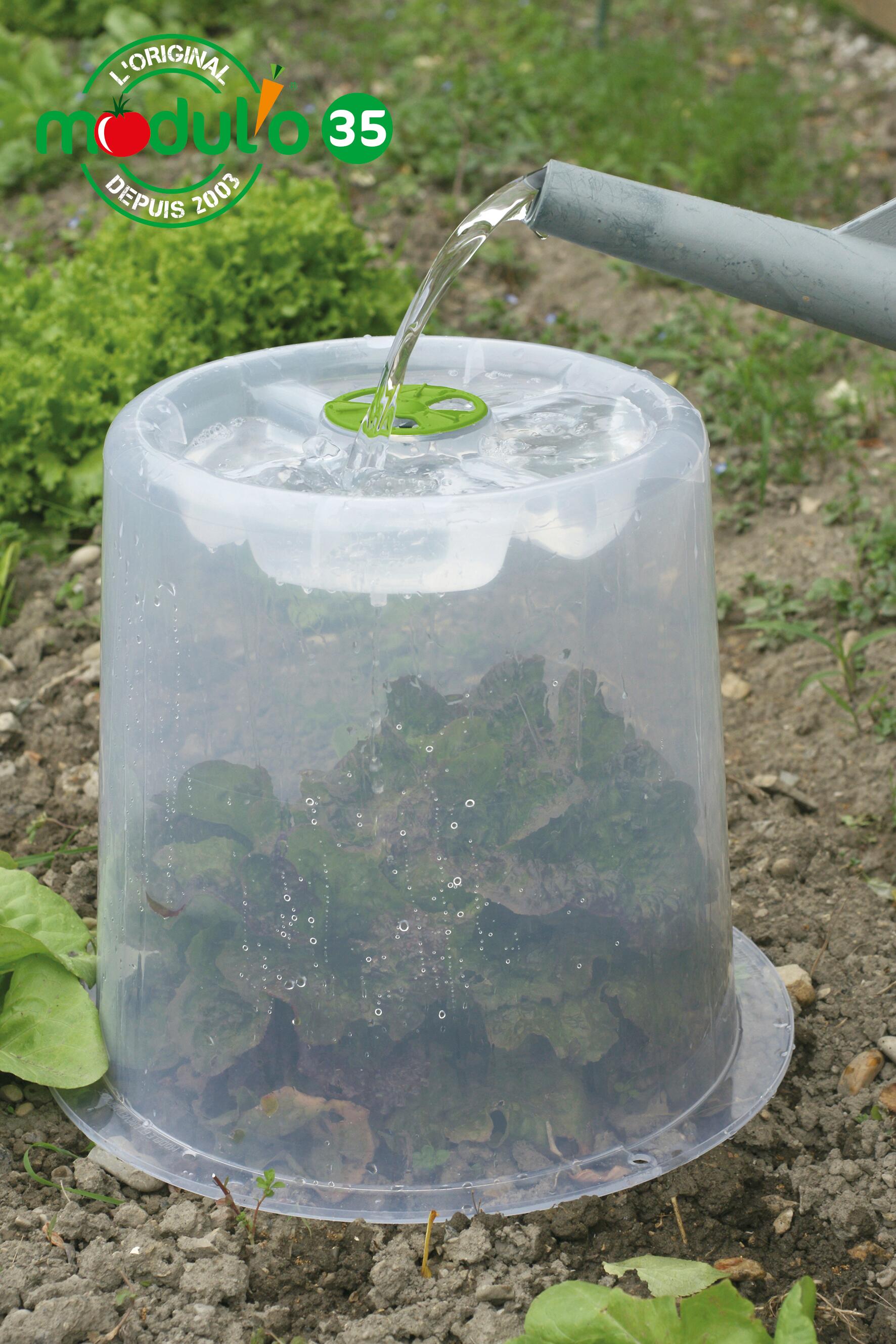 Lot de 3 cloches potagères modul'o 35 à forcer + 6 piquets d'ancrage MODUL'O - 3