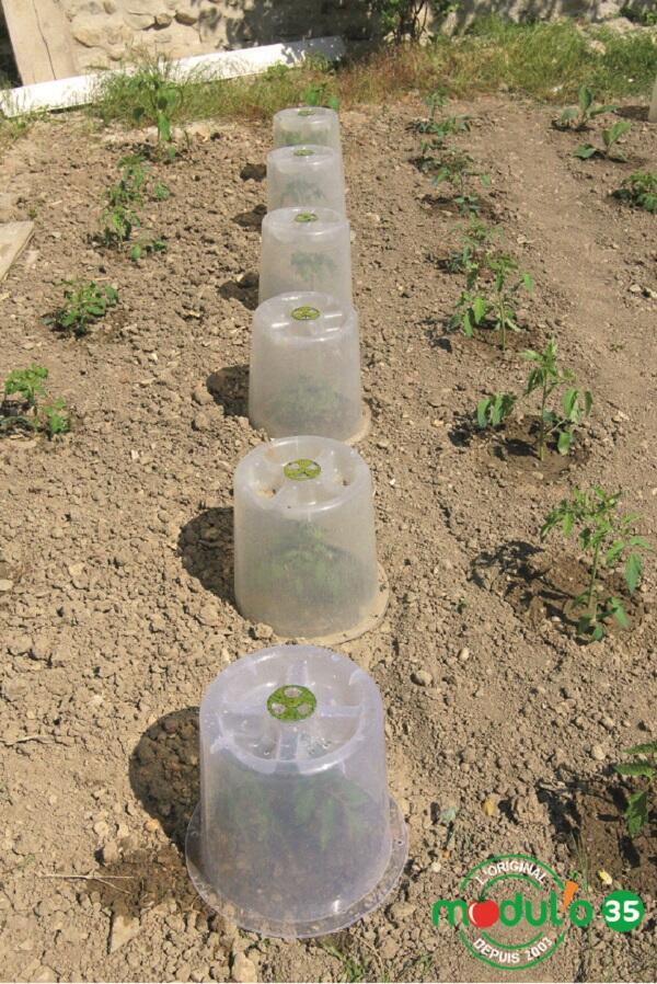 Lot de 3 cloches potagères modul'o 35 à forcer + 6 piquets d'ancrage MODUL'O - 2