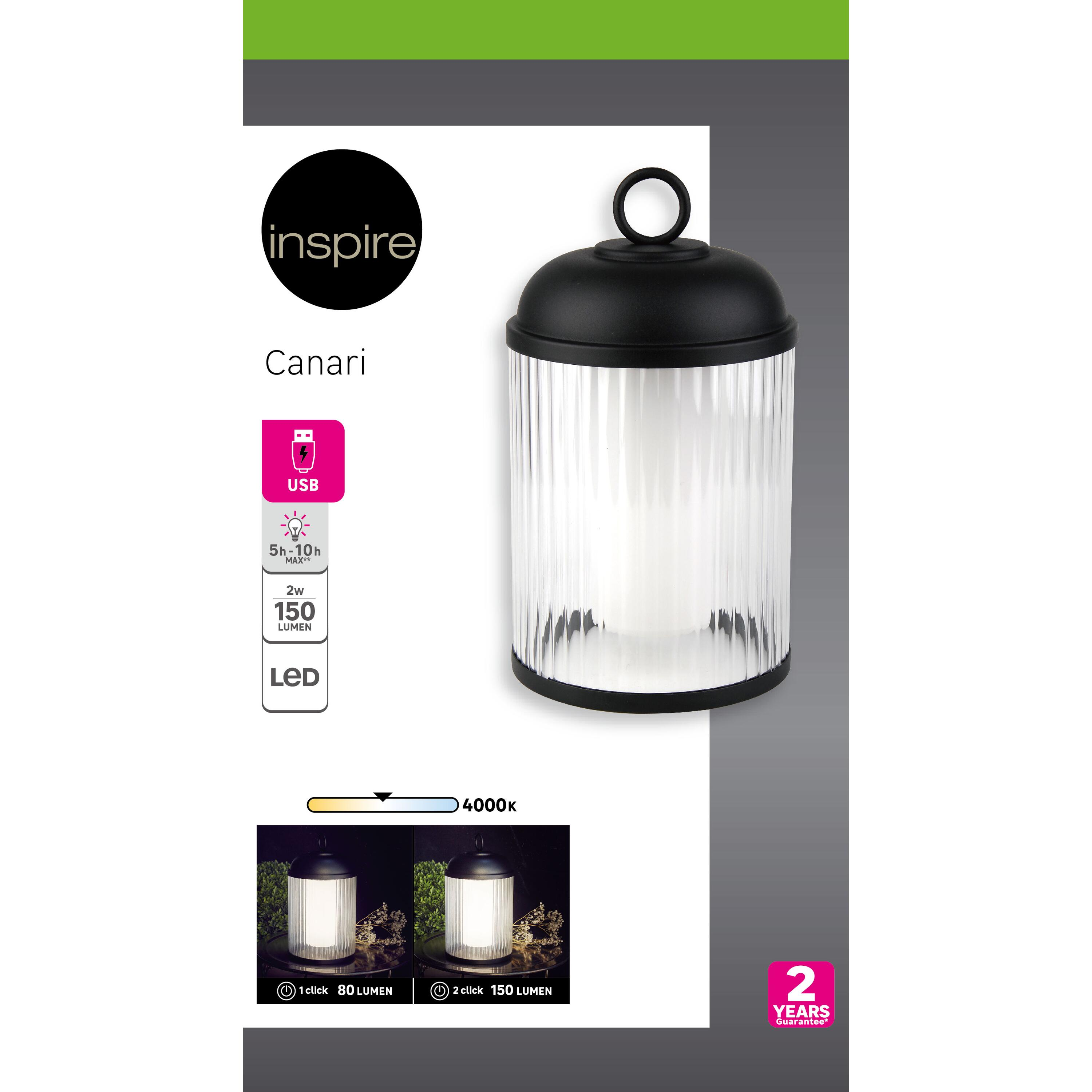 moderno Canari a batteria, luce naturale 150 LUMEN, INSPIRE - 2
