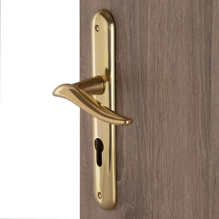 Deux Poignées De Porte En Laiton Doré à L'or Fin – Style Ancien – Neuves