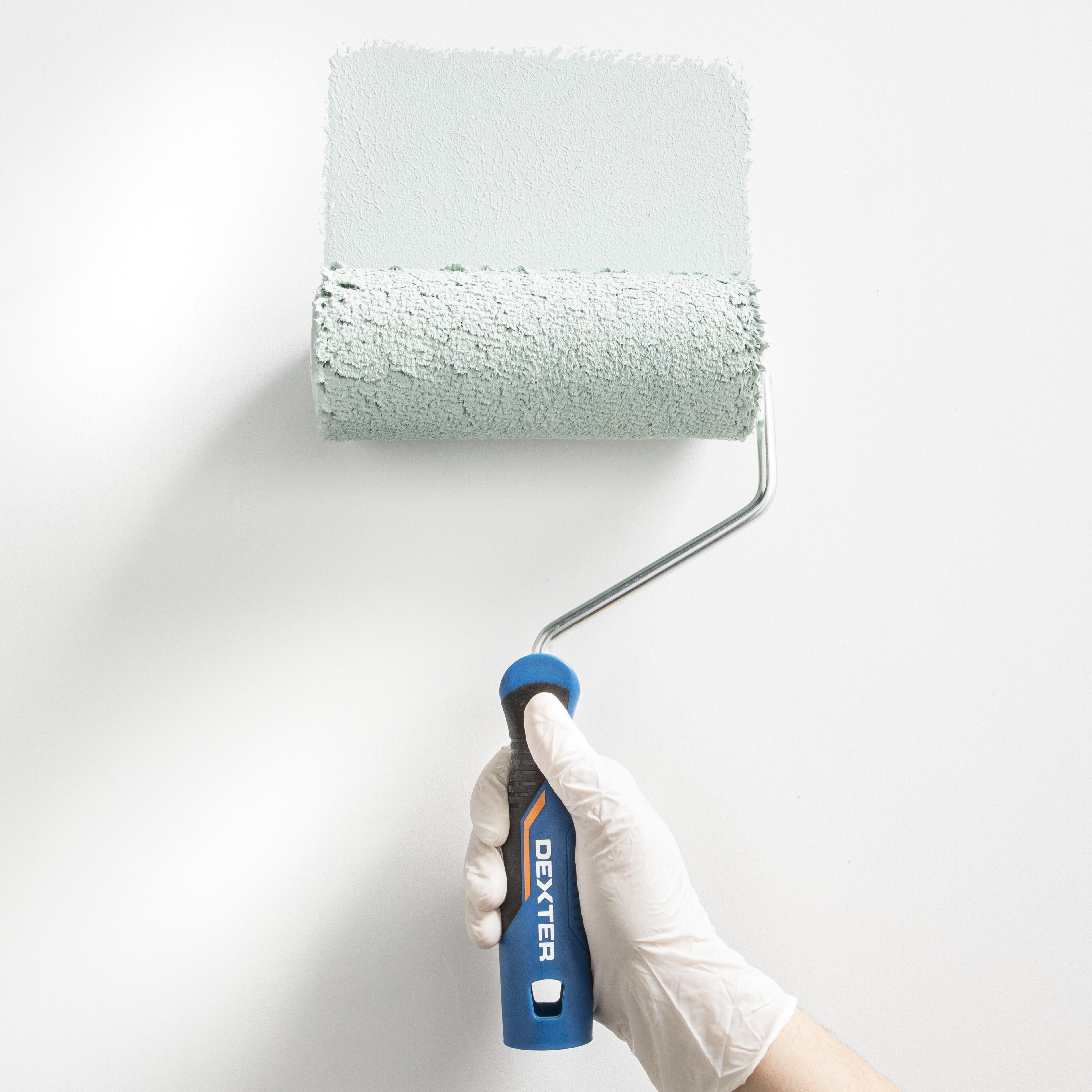 Recharge toute peinture pour mur lisse et plafond, DEXTER, l.180 mm - 5