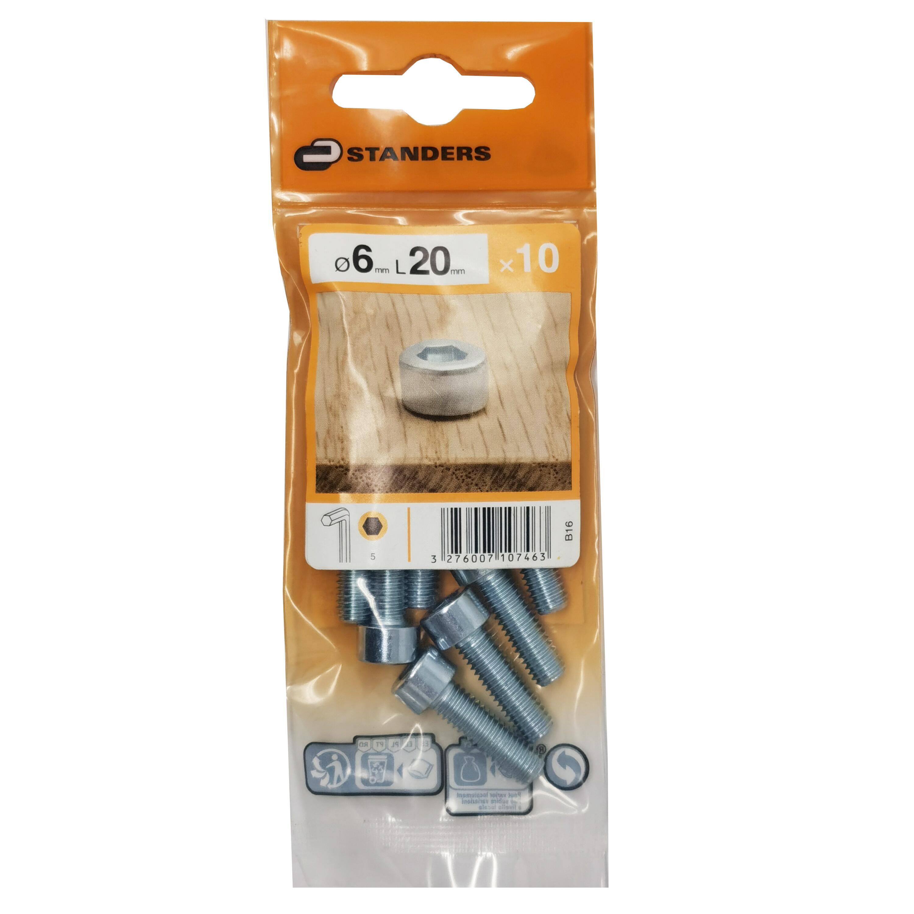 10 vis métrique à tête cylindrique bombée hexagonal STANDERS, Ø6 x L.20 ...