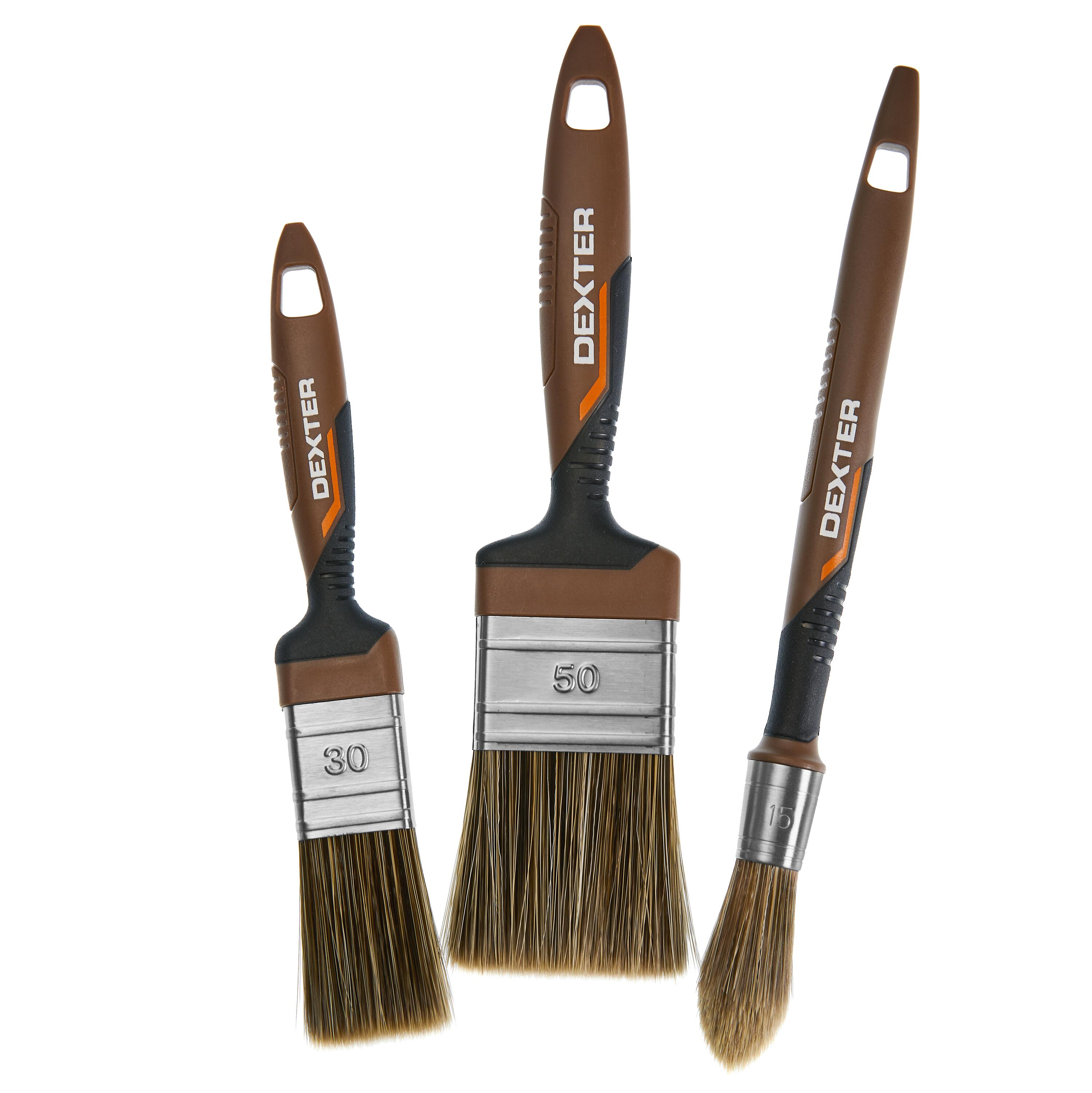 Lot de pinceaux x3, DEXTER pour peindre toutes surfaces - 4