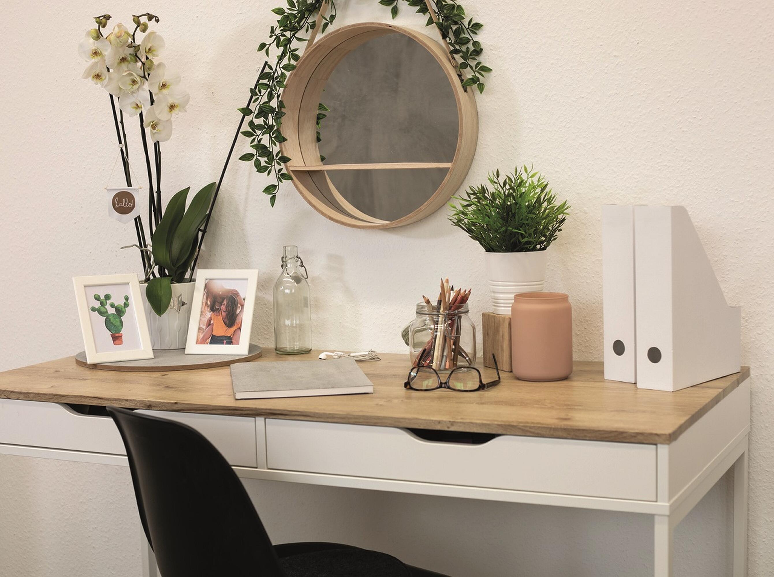 Adhésif décoratif SAINT HONORE Effet bois chêne, ribbeck l.0.45 x L.2 m - 3