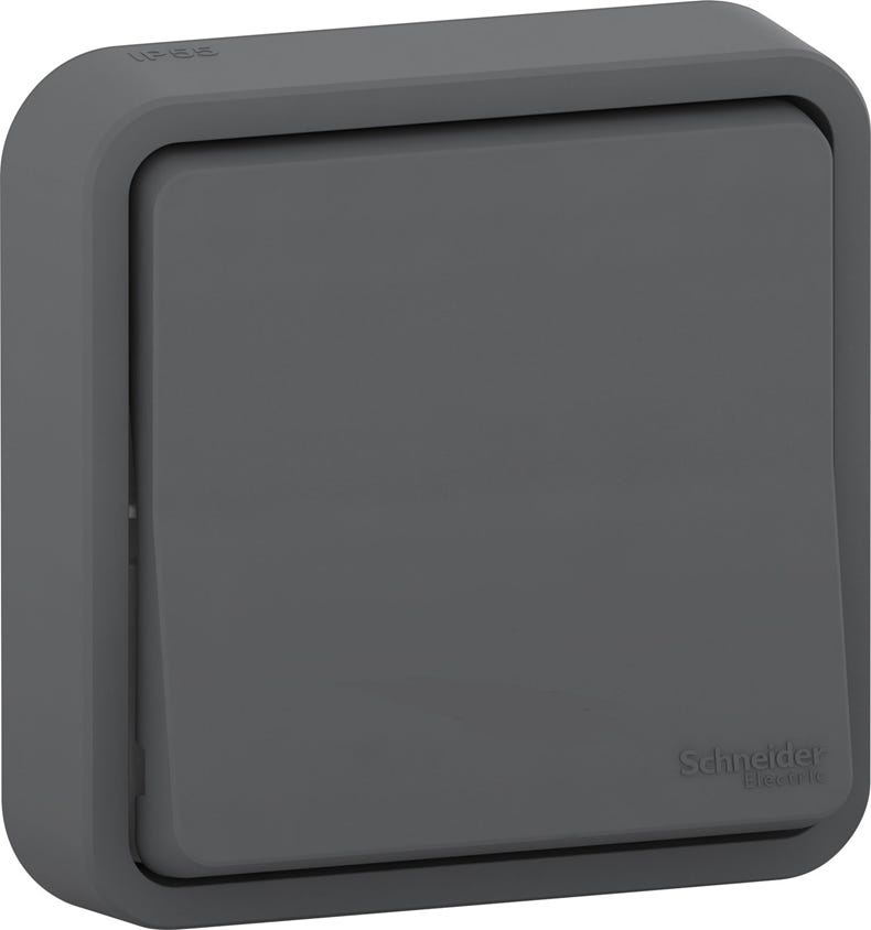 Schneider Electric Mureva Styl – Presa Elettrica E Interruttore Deviatore Verticale (Va E Vieni) – 250V – Grigio Antracite – IP55 IK08 Impermeabile Per Esterni