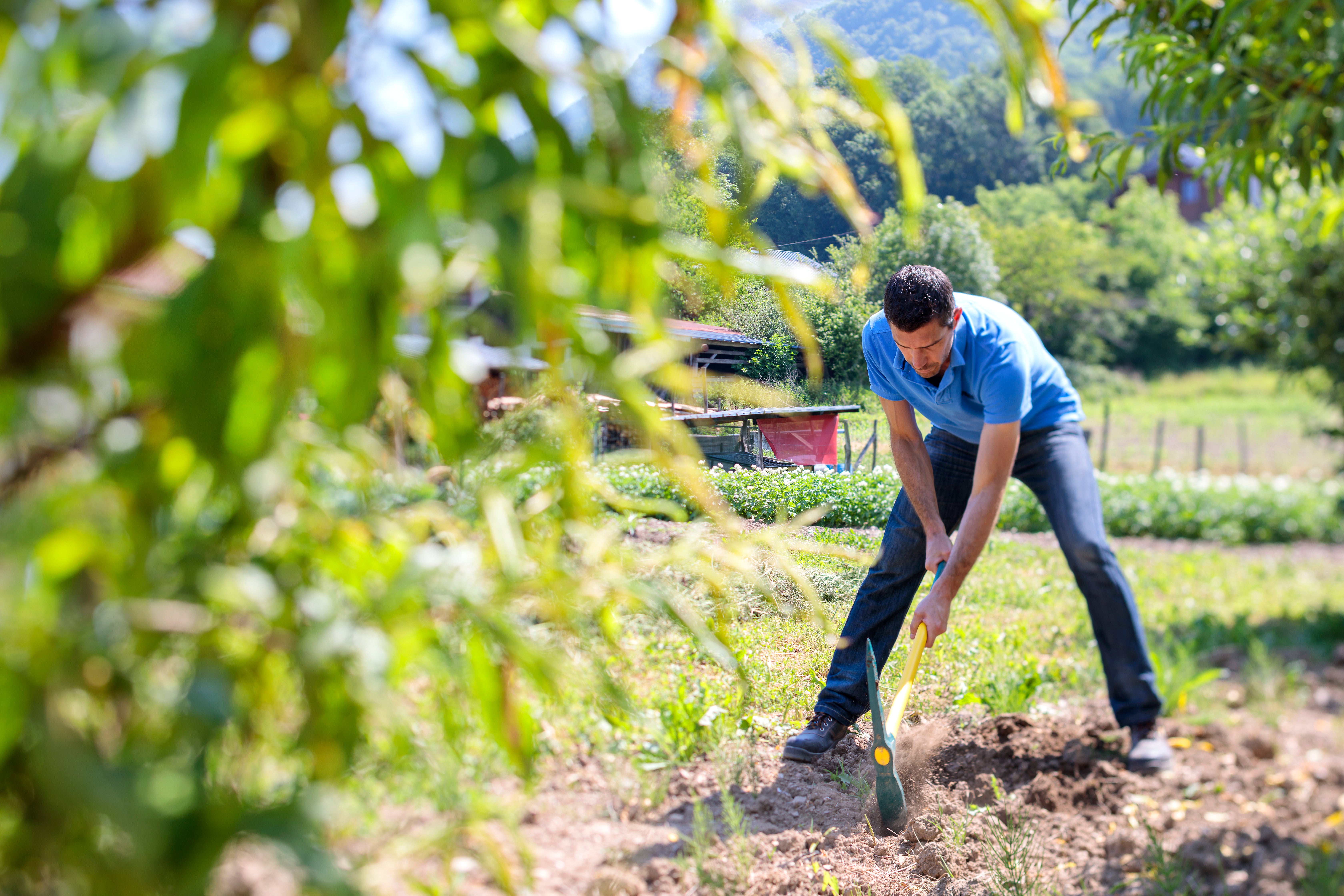 Pioche terrassière acier forgé LEBORGNE, manche composite L.90 cm - 3