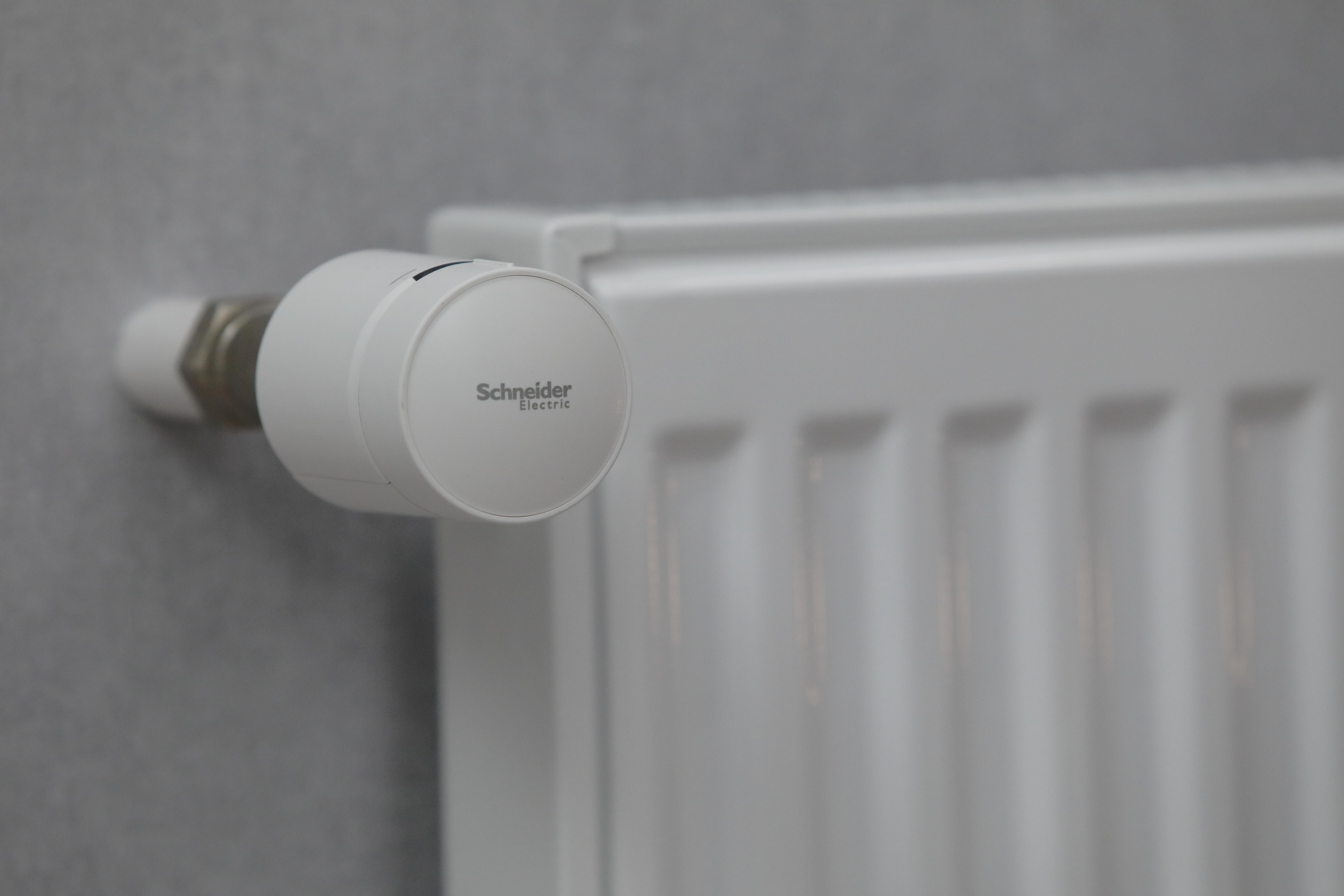 Tête de vanne thermostatique connectée zigbee Wiser, SCHNEIDER ELECTRIC, blanc - 11