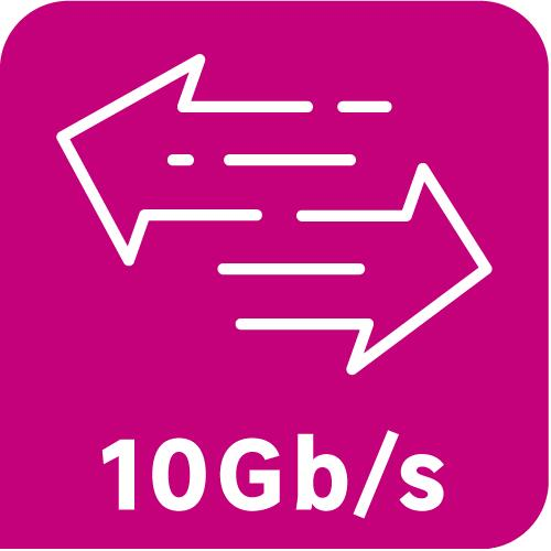 Câble ethernet blindé RJ45 cat 6A U/FTP, 23AWG, 10m LEXMAN - 3