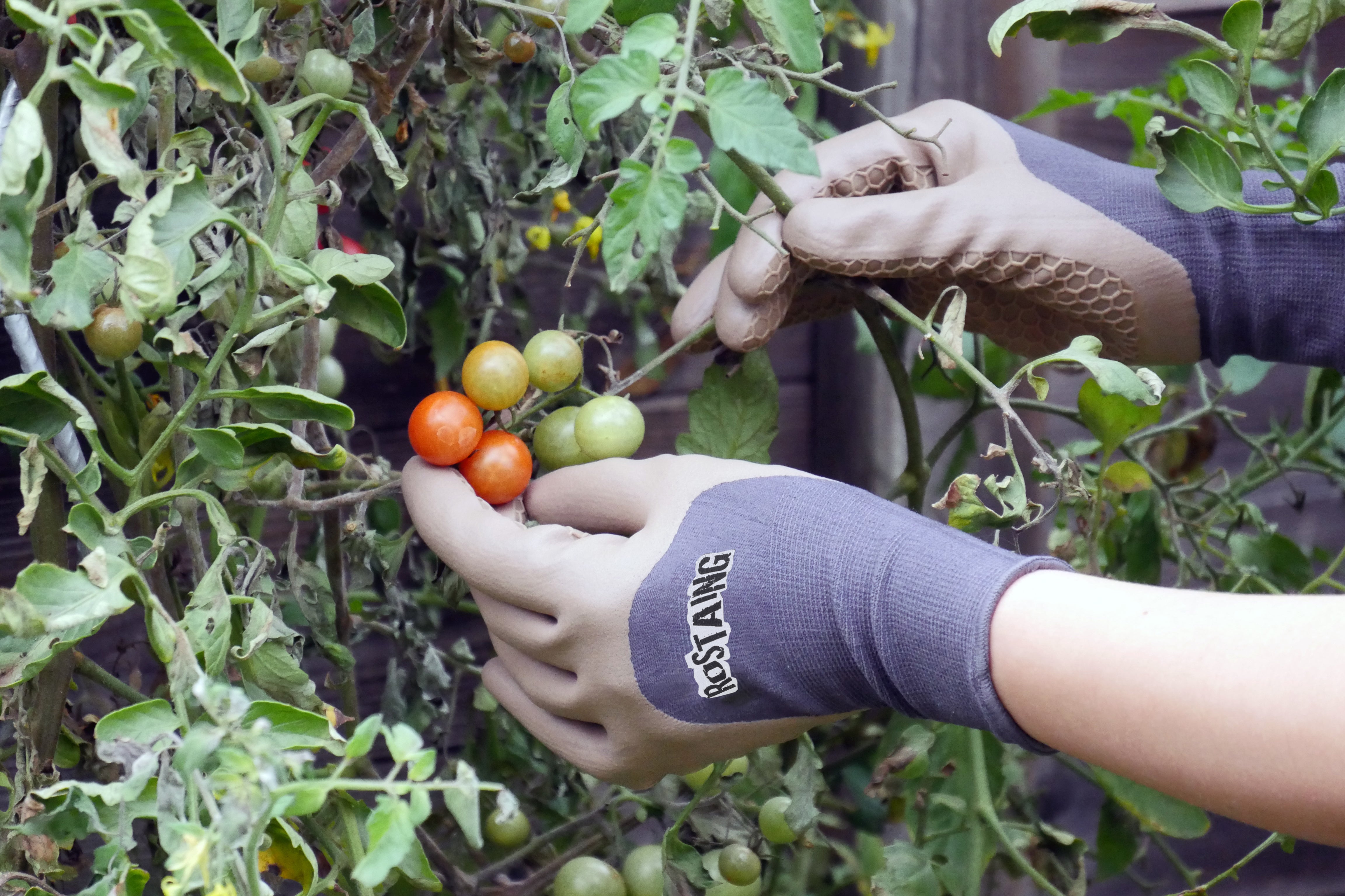 gant pour outil de manutention, T 9 ROSTAING - 3