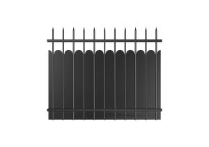 Clôture acier Ambre plein ROY noir 9005, H.120 x l.150 cm