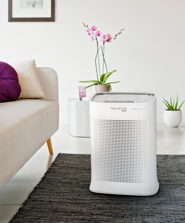 RECONDITIONNÉ Eclipse 2-en-1, Purificateur ventilateur, Air pur et rafraichissant, Ultra silencieux | Produits reconditionnés