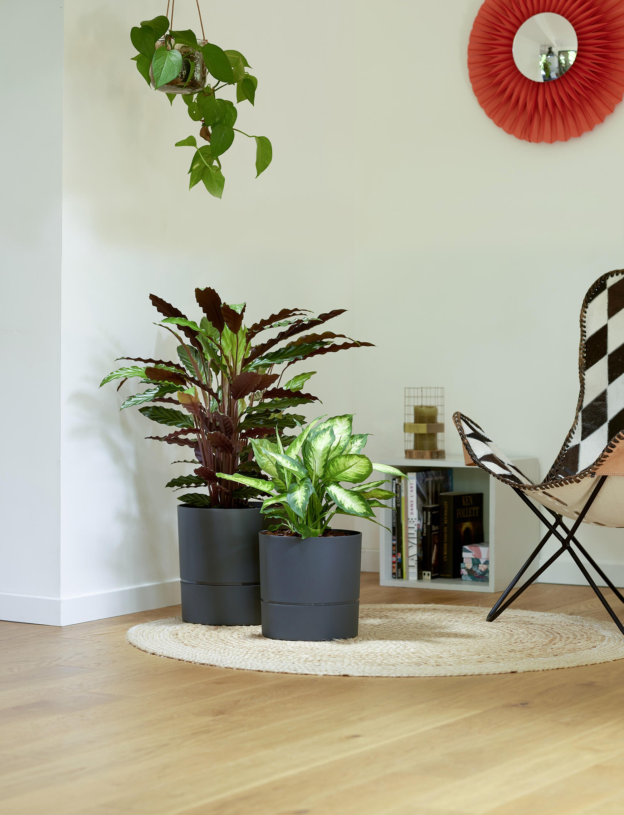 Pot rond polypropylène Aquaduo Diam.24.3 cm gris anthracite - 2