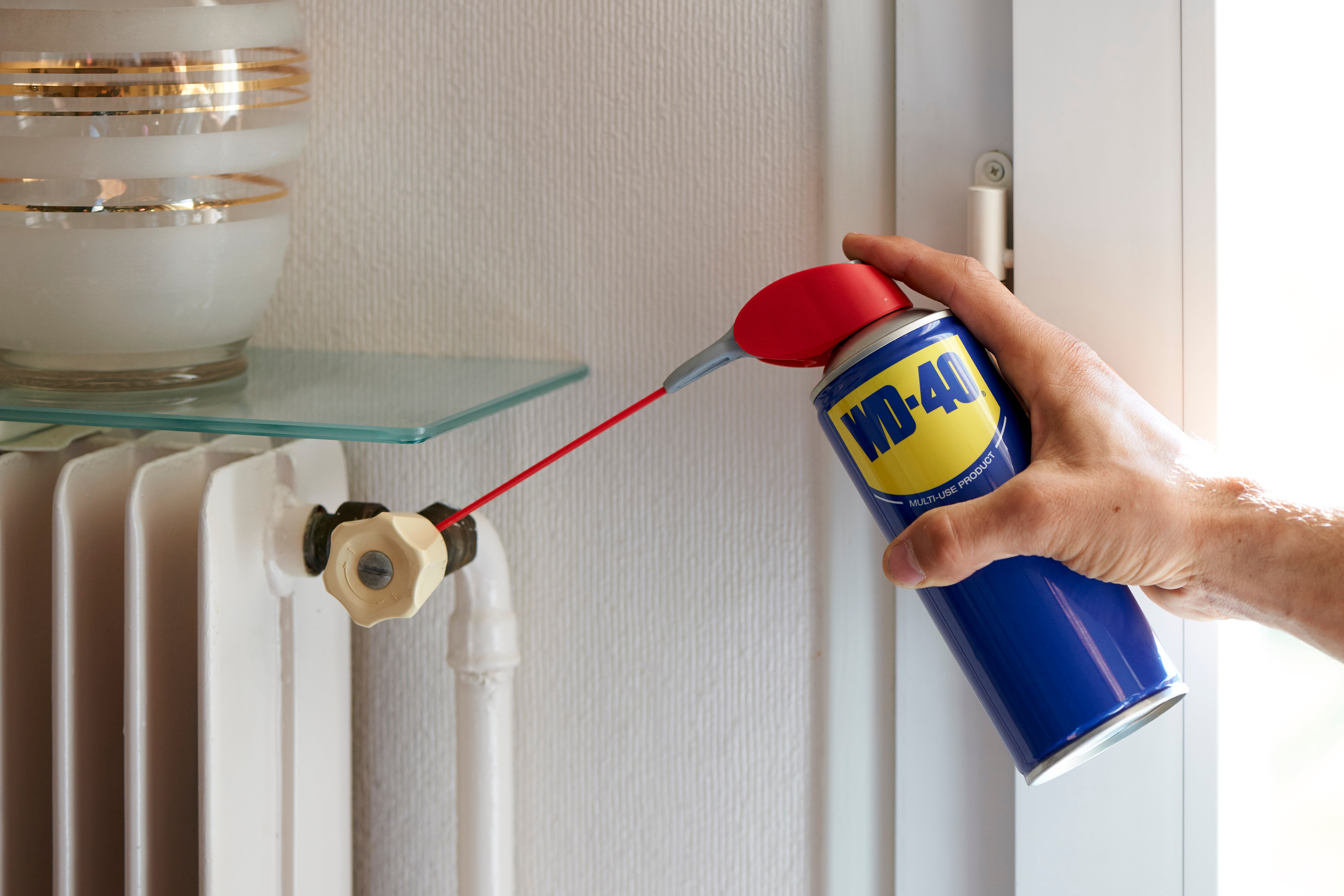 Lubrifiant multifonction en aérosol, 250 ml WD-40 - 5