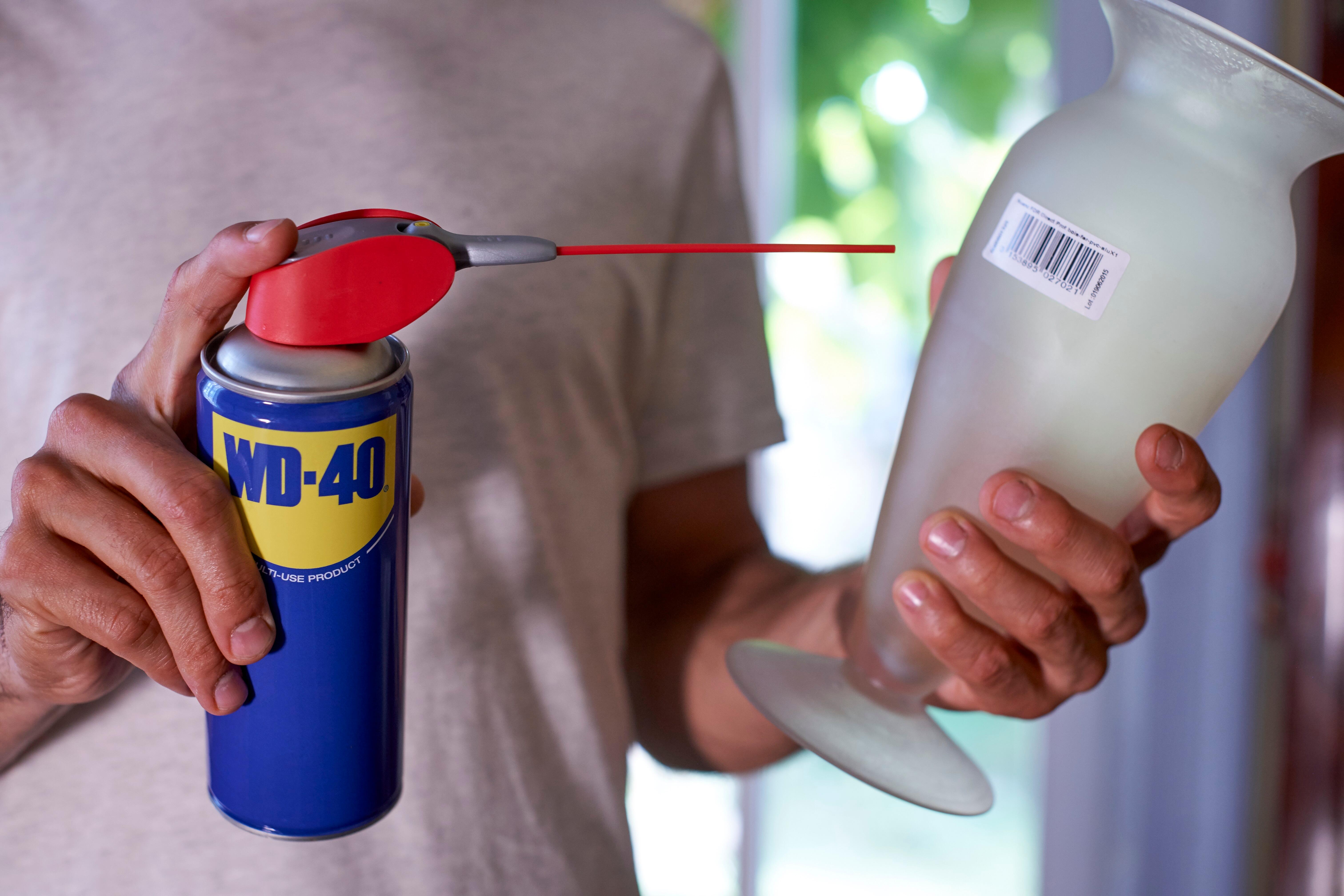 Lubrifiant multifonction en aérosol, 250 ml WD-40 - 10