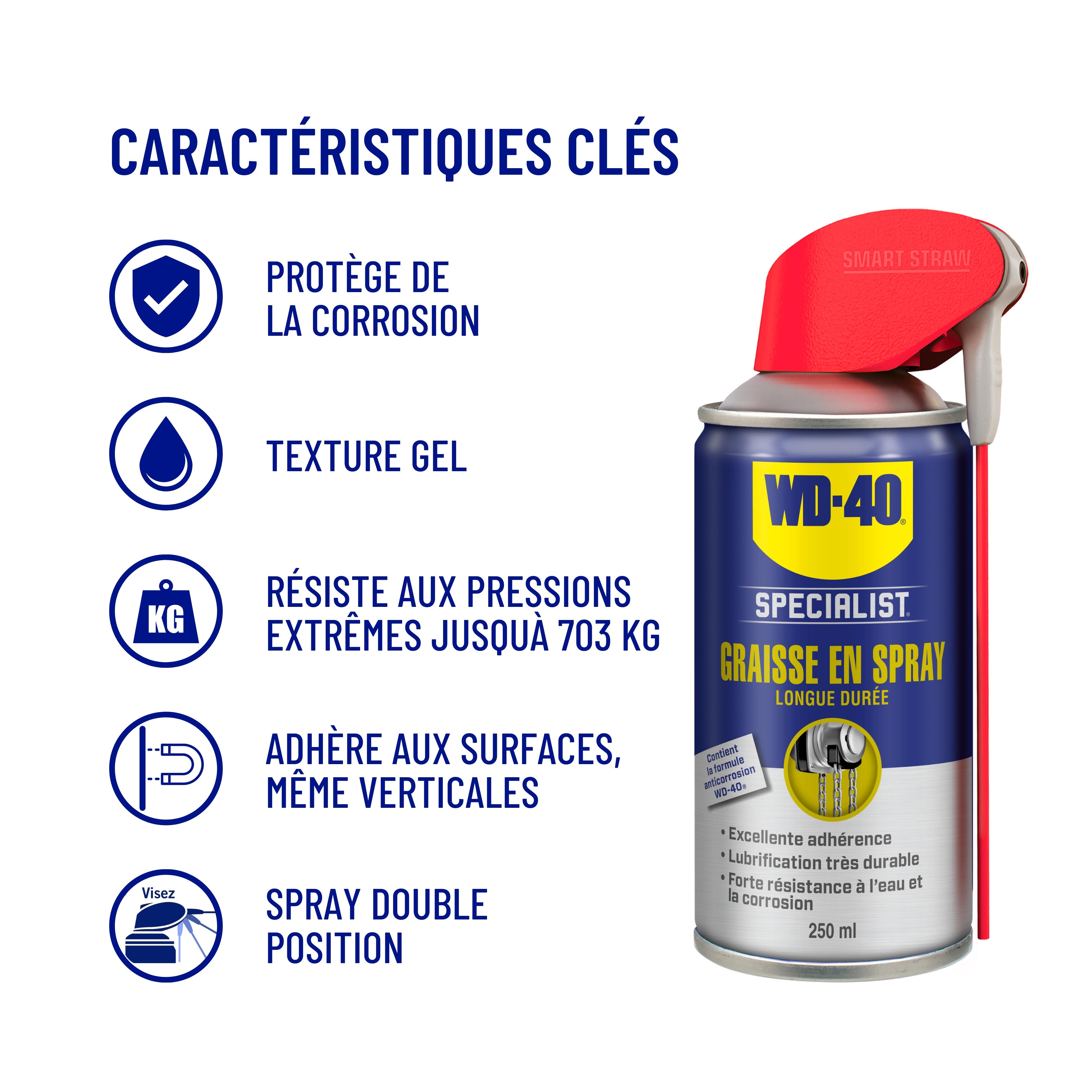 Graisse polyvalente en aérosol, 250 ml  WD-40 - 2