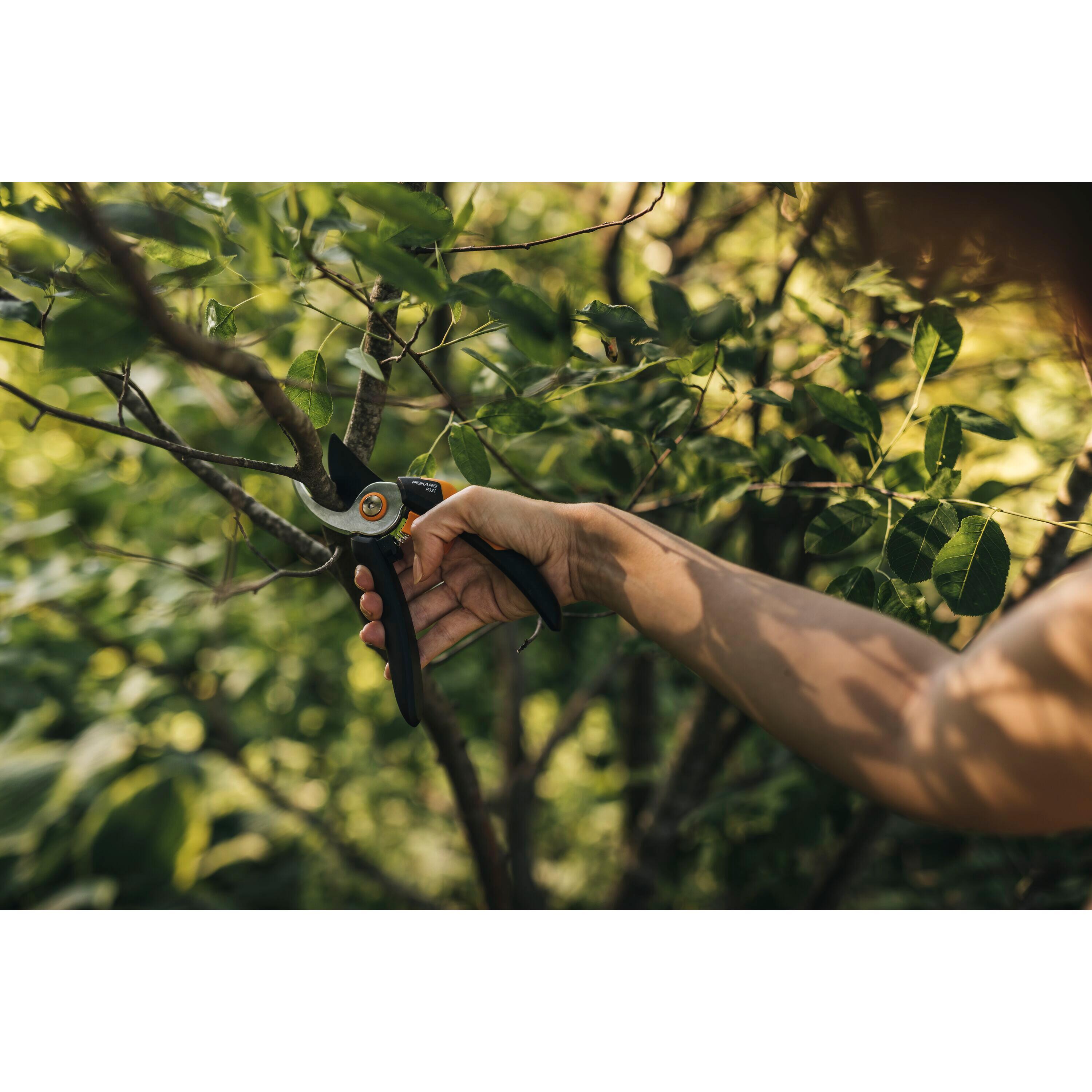Potatore FISKARS SOLID BYPASS P321 lame in acciaio per rami fino a 20 mm - 6