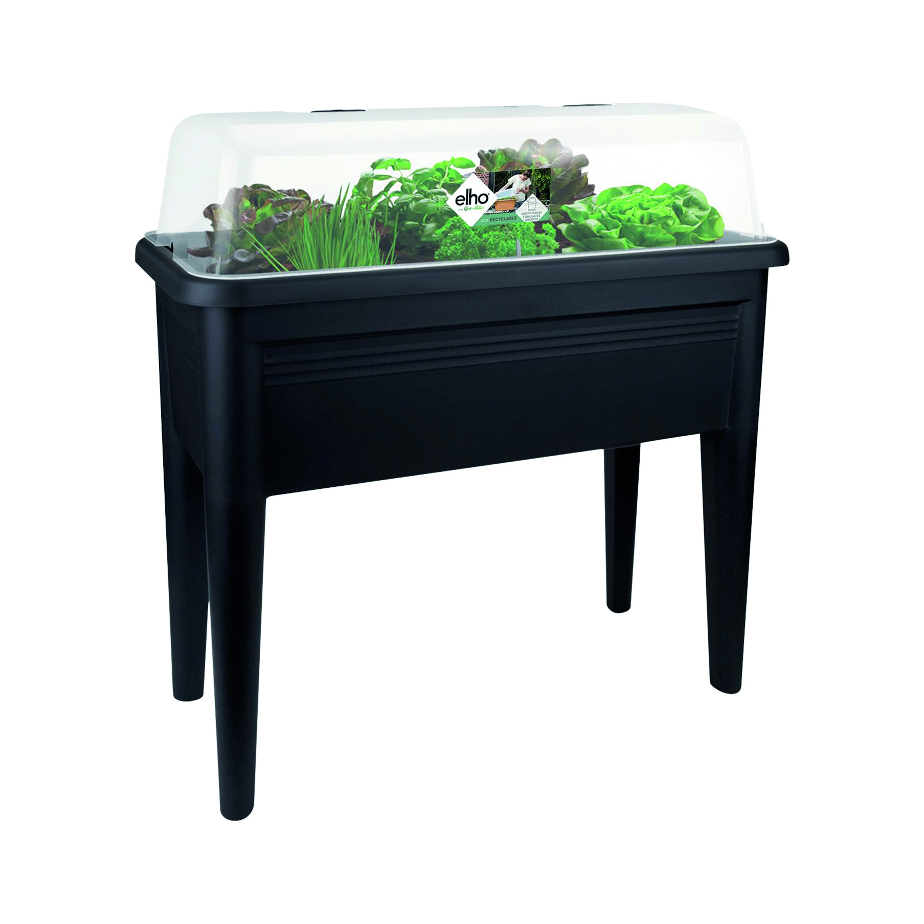 Coperchio per orto in polipropilene Green basics super XXL ELHO trasparente L 77.5 x P 56.6 x H 22.3 cm - 8