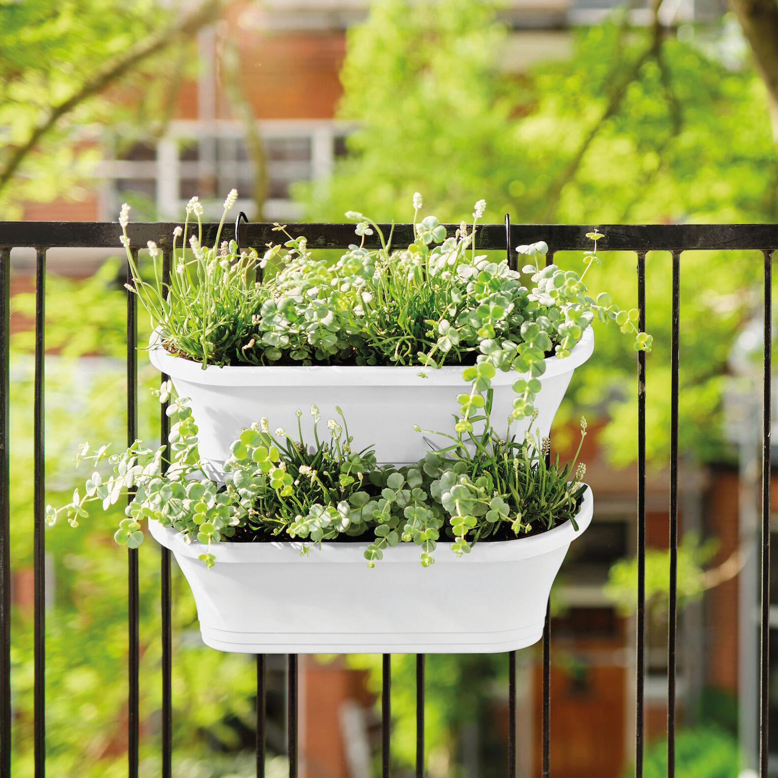 Fioriera ELHO in polipropilene H 23.33 x L 51.215 x P 51.215 cm - 3