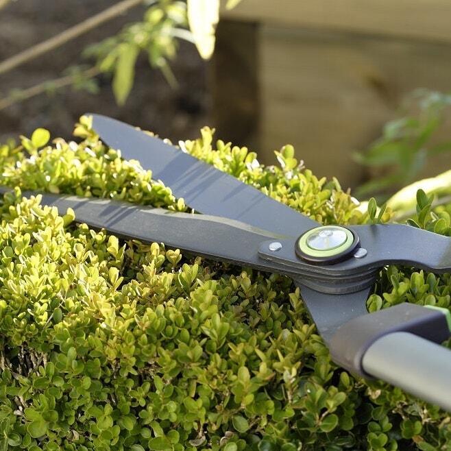Set di 6 cesoie per alberi con bypass, forbici da giardino, forbici da potatura