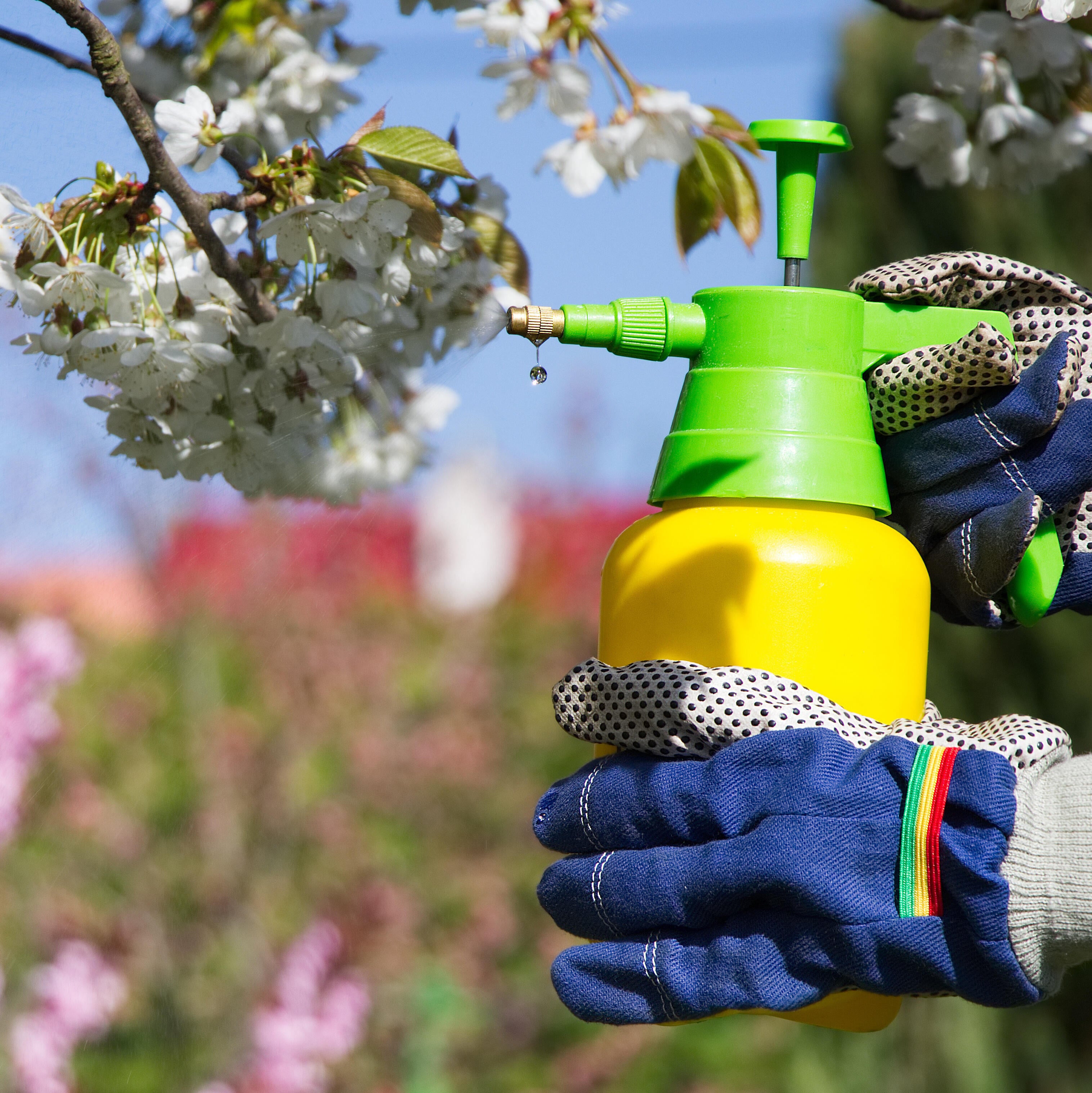 COPYR Olio minerale 250ml - Garden Center Mediterraneo