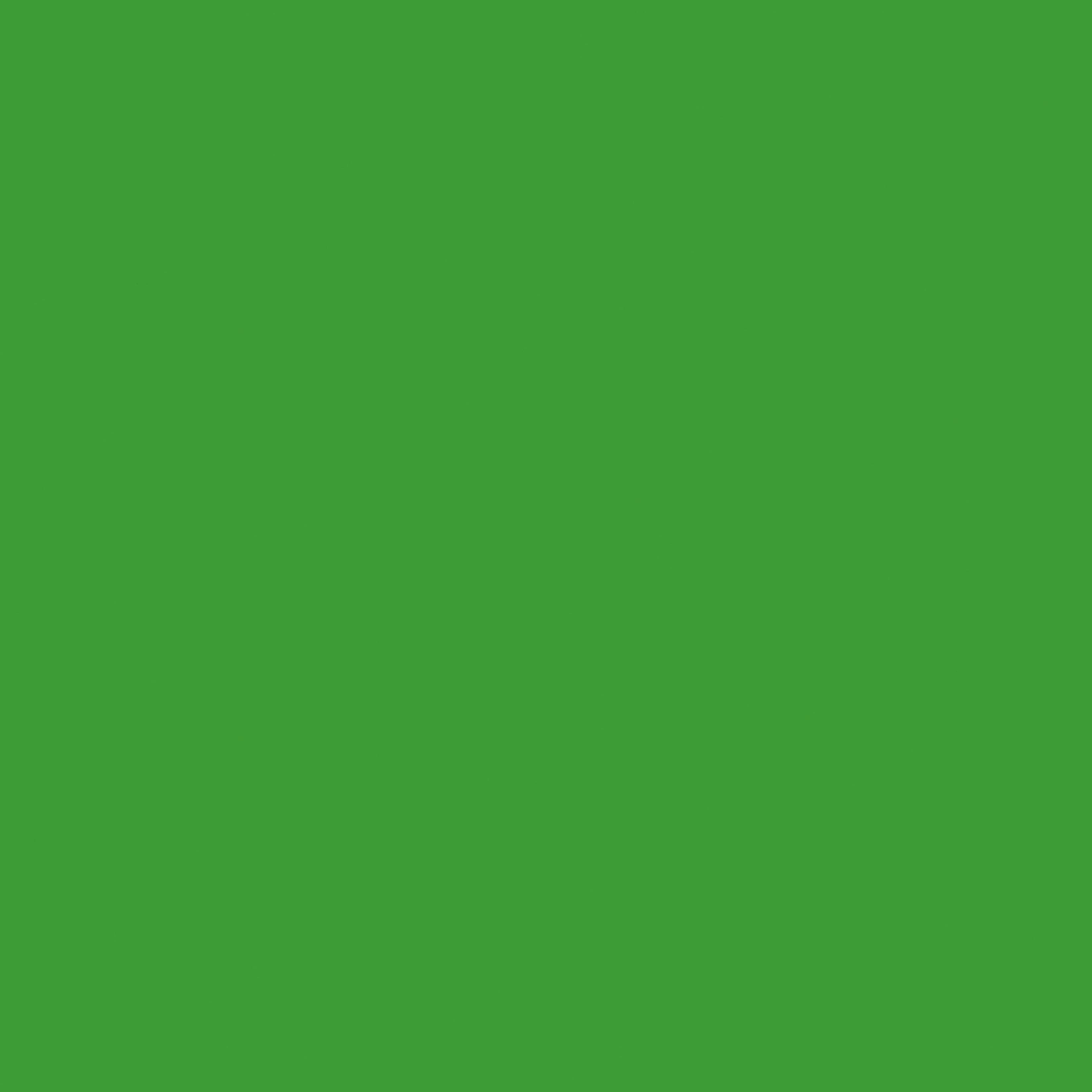 Colorante liquido LUXENS 40 ml verde prato - 2