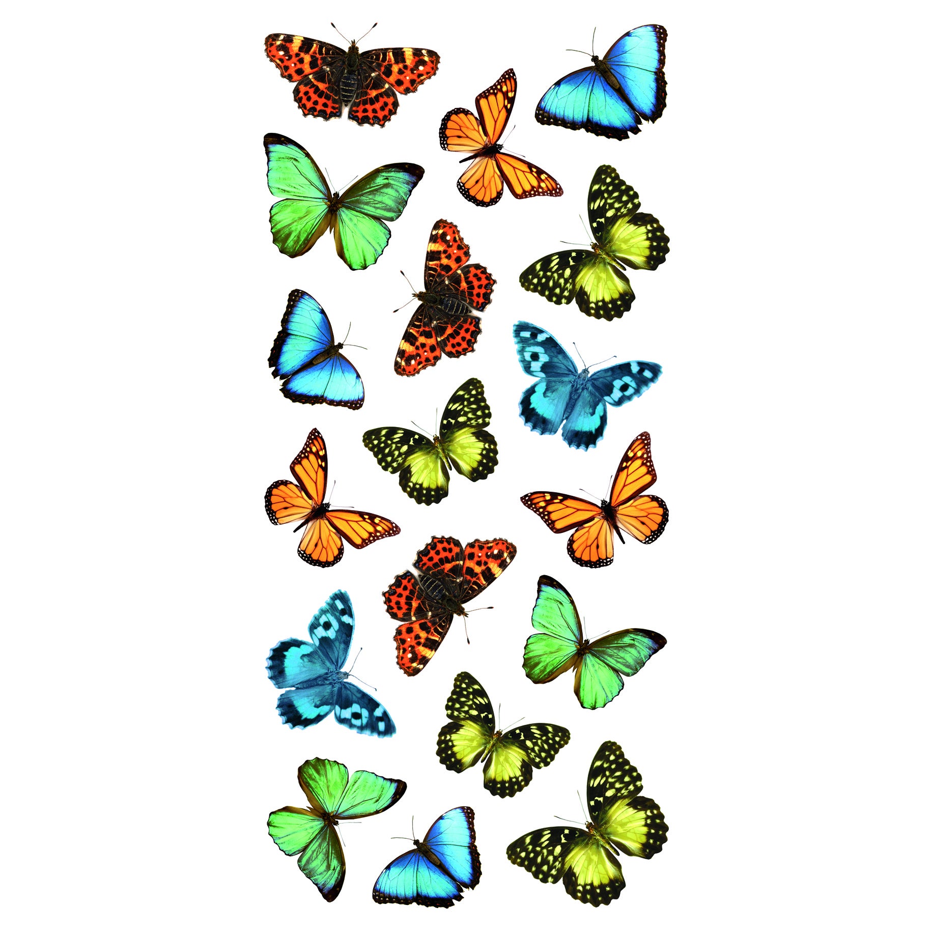 Sticker Farfalle 15.5x34 cm multicolore, confezione da 2 fogli - 2