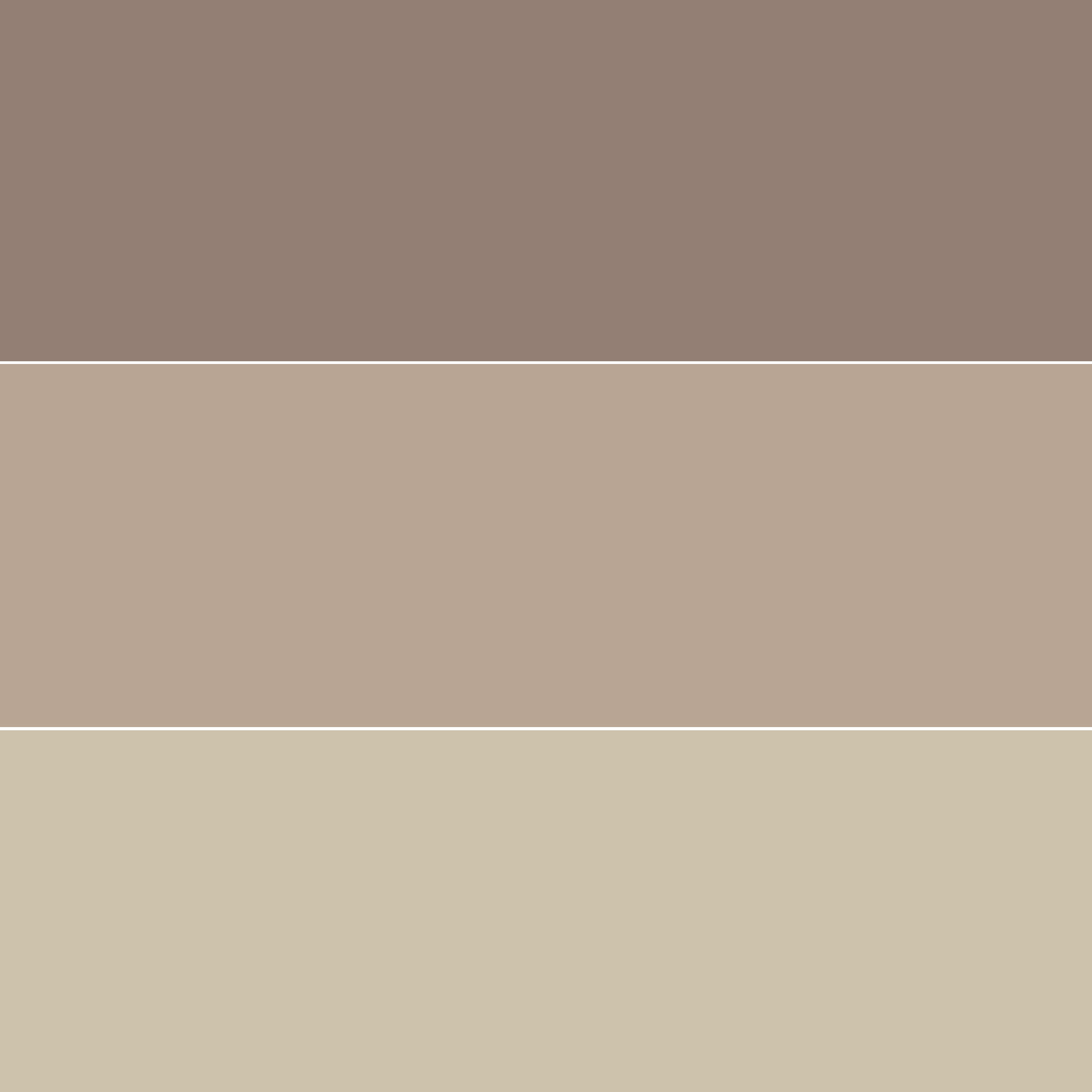 Colorante liquido BRAVO 20 ml marrone bruno - 3