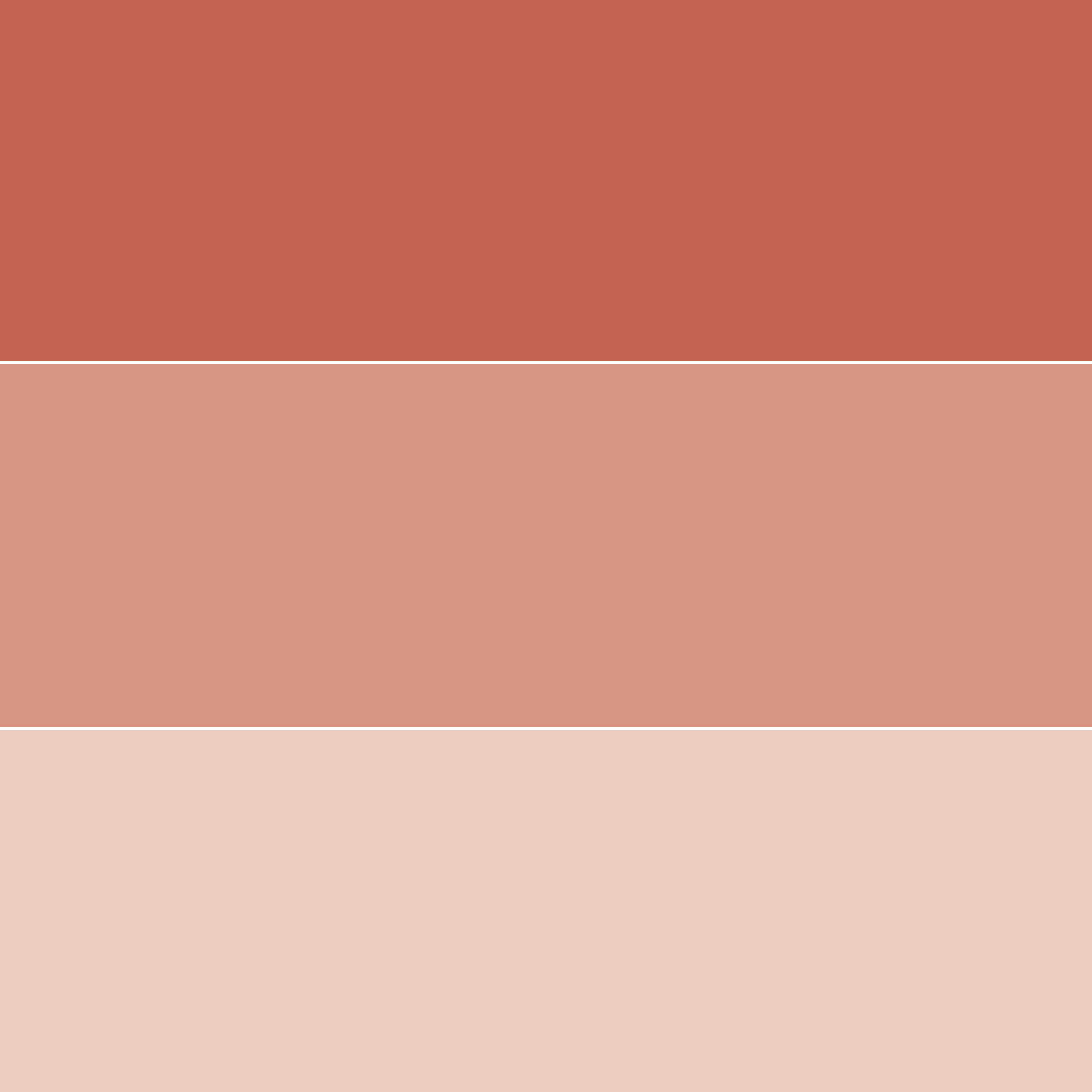 Colorante liquido LUXENS 40 ml rosso ossido - 4