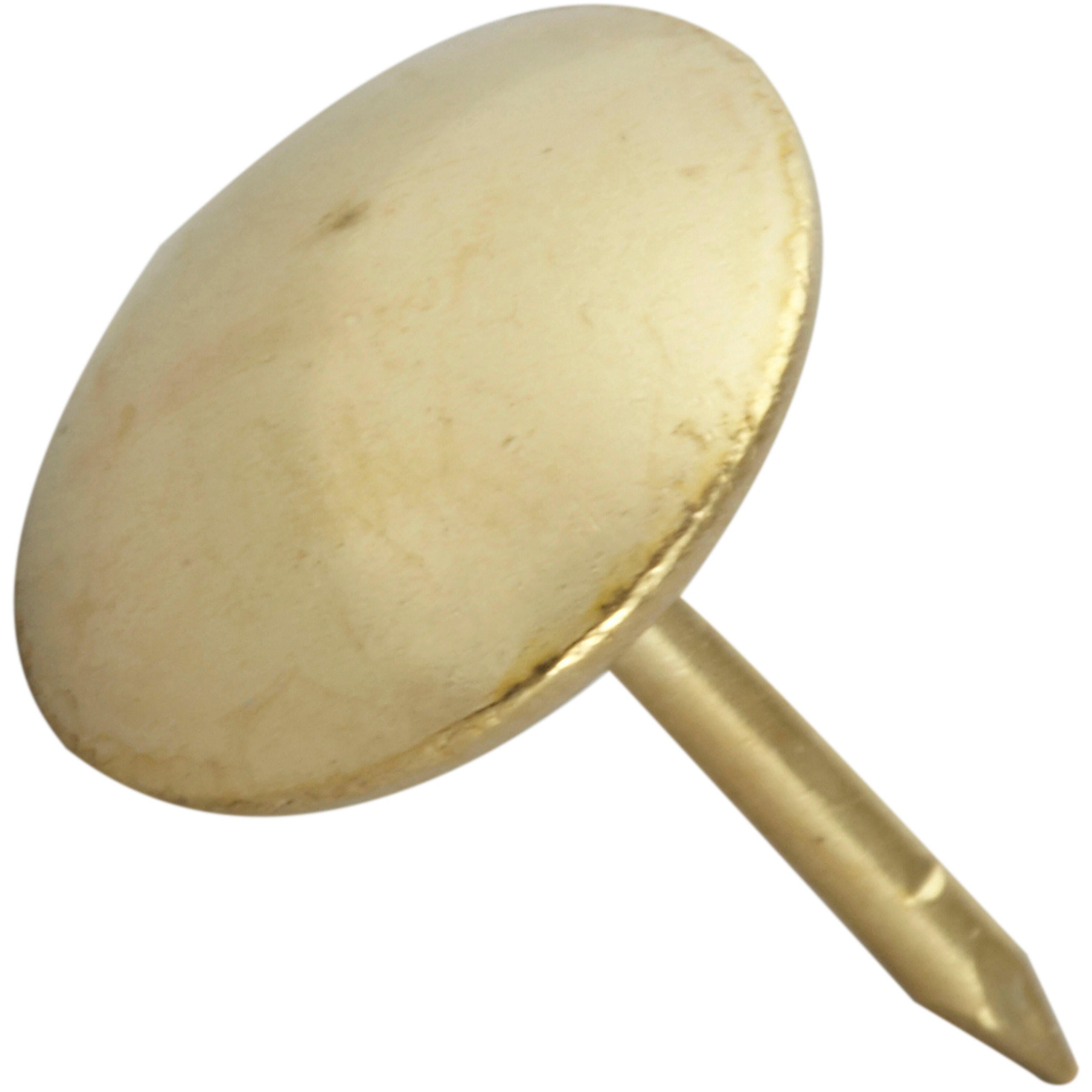 65 clou de tapissier acier, STANDERS tête bombée, Ø8 x L.13 mm - 2