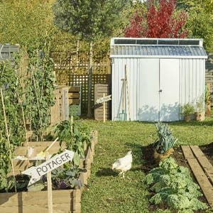 Serre de jardin : votre nouvel allié pour jardiner - Le Parisien