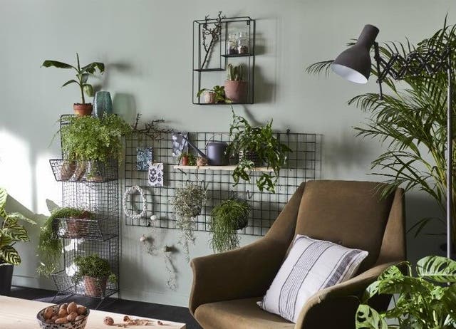 Dcoration murale vgtale avec des plantes : 10 ides | Leroy Merlin