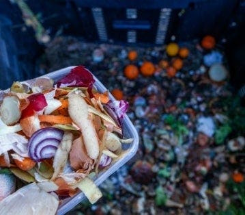 Qu'est-ce que le compost, à quoi ça sert, comment l'utiliser ?